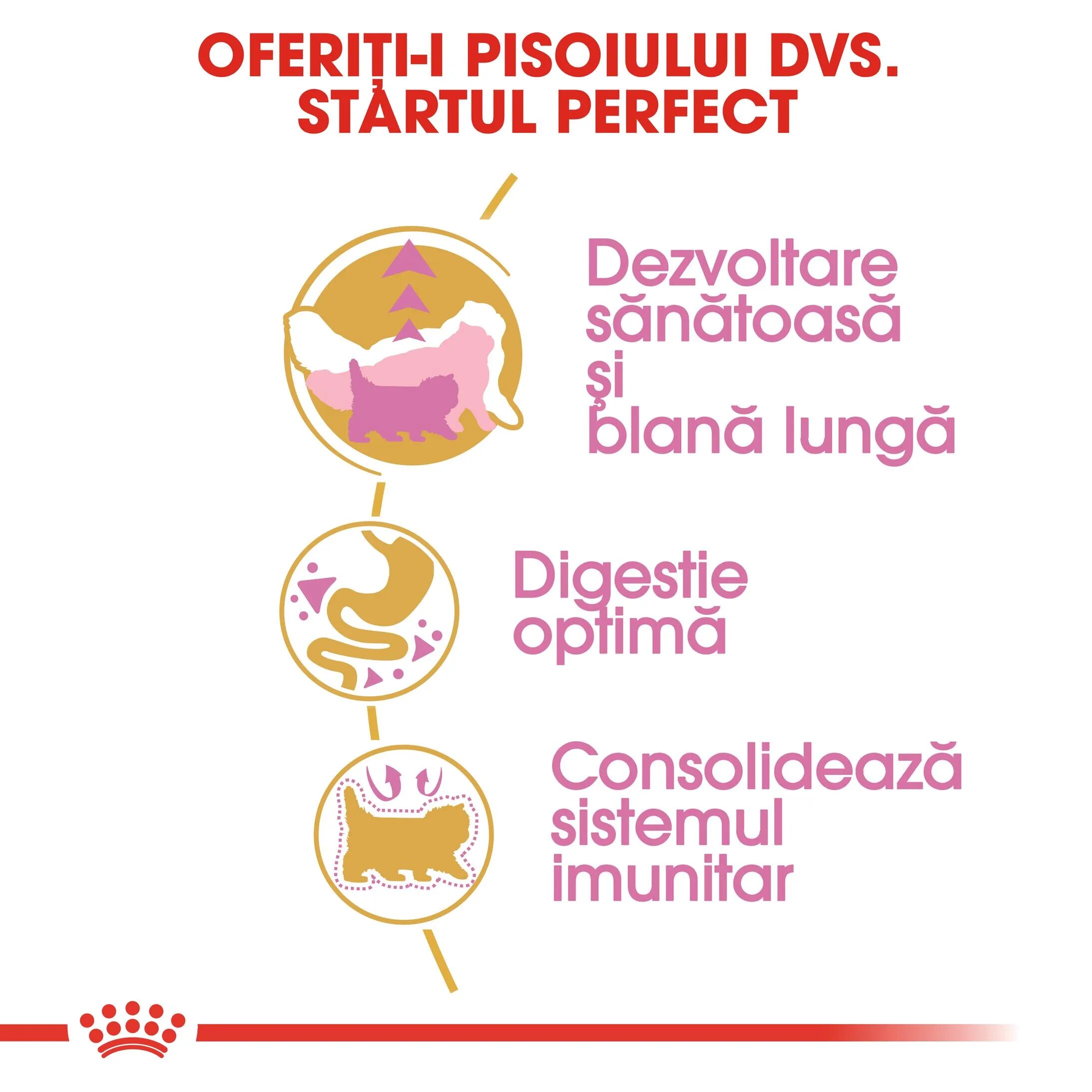 Royal Canin Persian Kitten hrană uscată pisici junior 400g