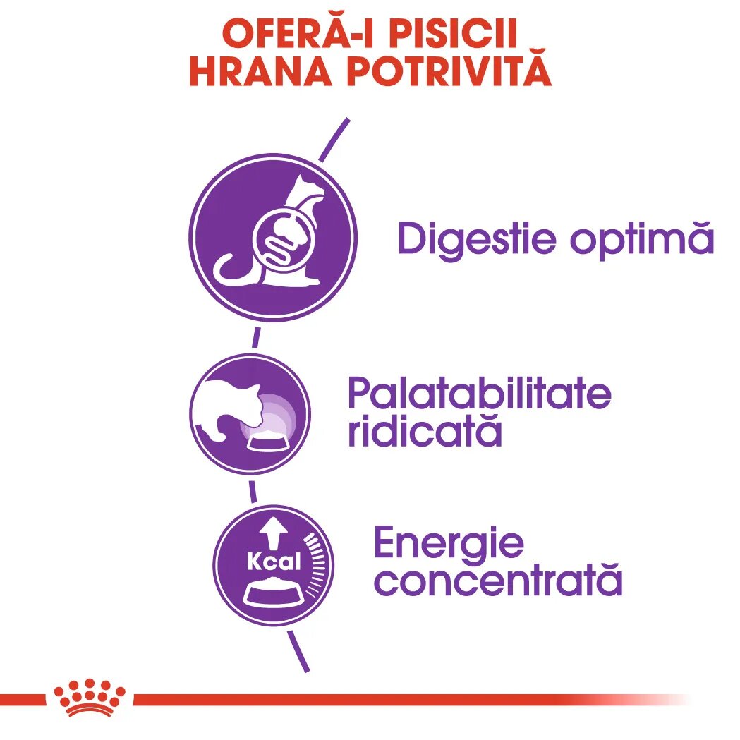 Royal Canin Sensible Adult hrană uscată pisici digestie optimă 10kg
