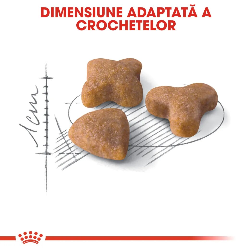 Royal Canin Sensible Adult hrană uscată pisici digestie optimă 10kg