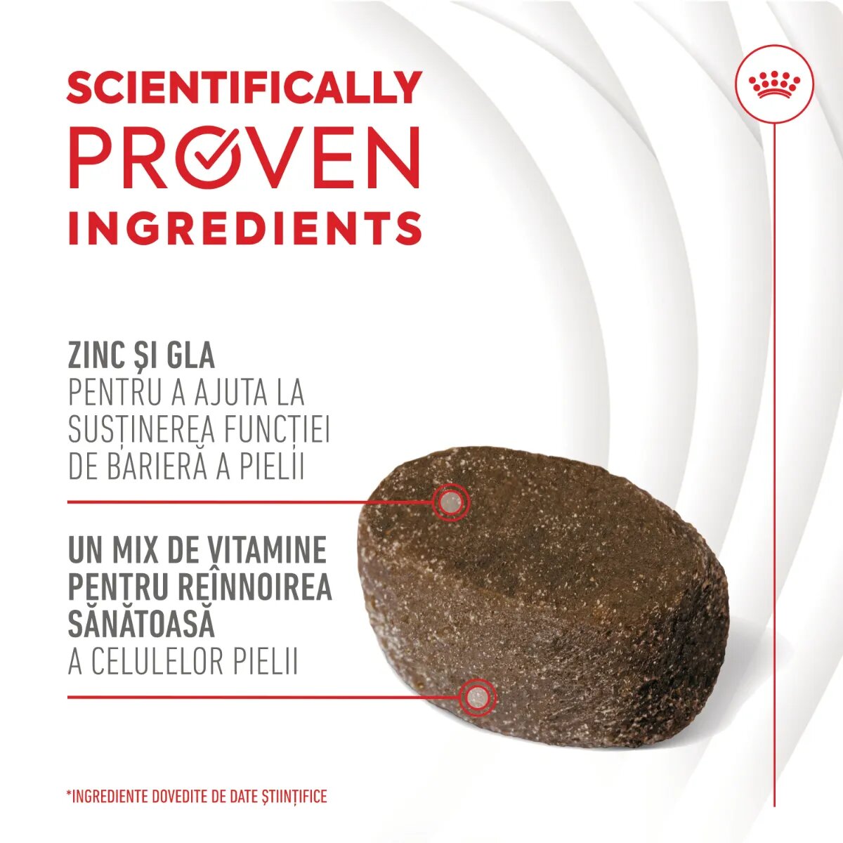 Royal Canin Skin & Coat chews Adult Supplements punguță recompense funcționale câini piele & blană 240g