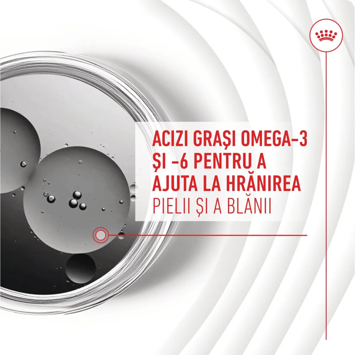 Royal Canin Skin & Coat chews Adult Supplements punguță recompense funcționale câini piele & blană 240g