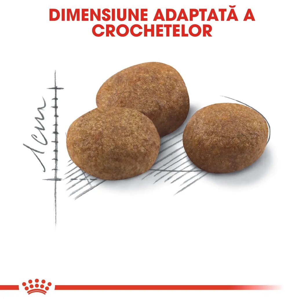 Royal Canin Sterilised 7+ hrană uscată pisici sterilizate 10kg