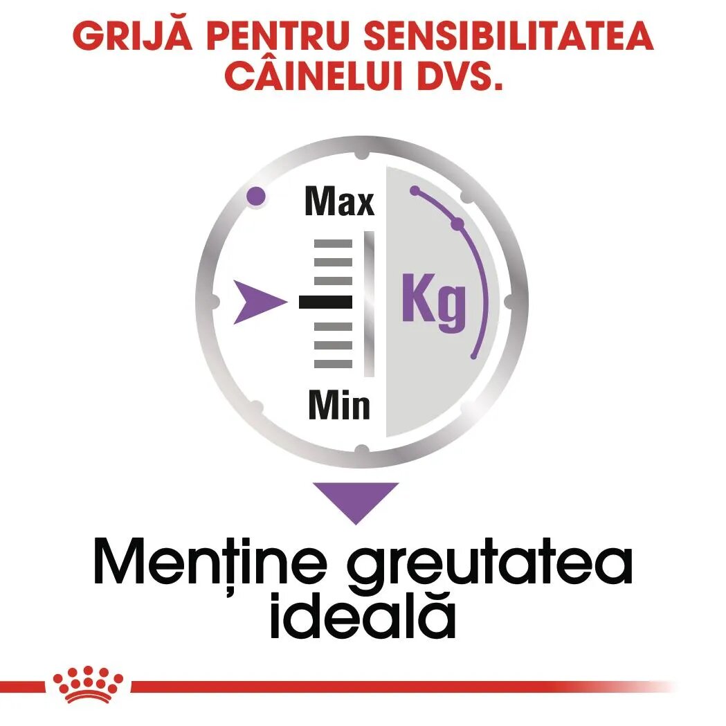 Royal Canin Sterilised Adult hrană umedă câini sterilizați (pate) 85g