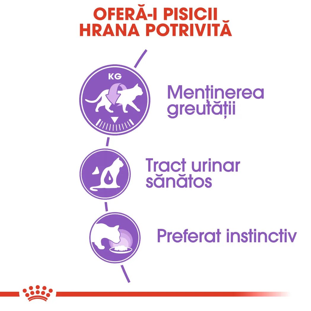 Royal Canin Sterilised Adult hrană umedă pisici sterilizate (în aspic) 85g