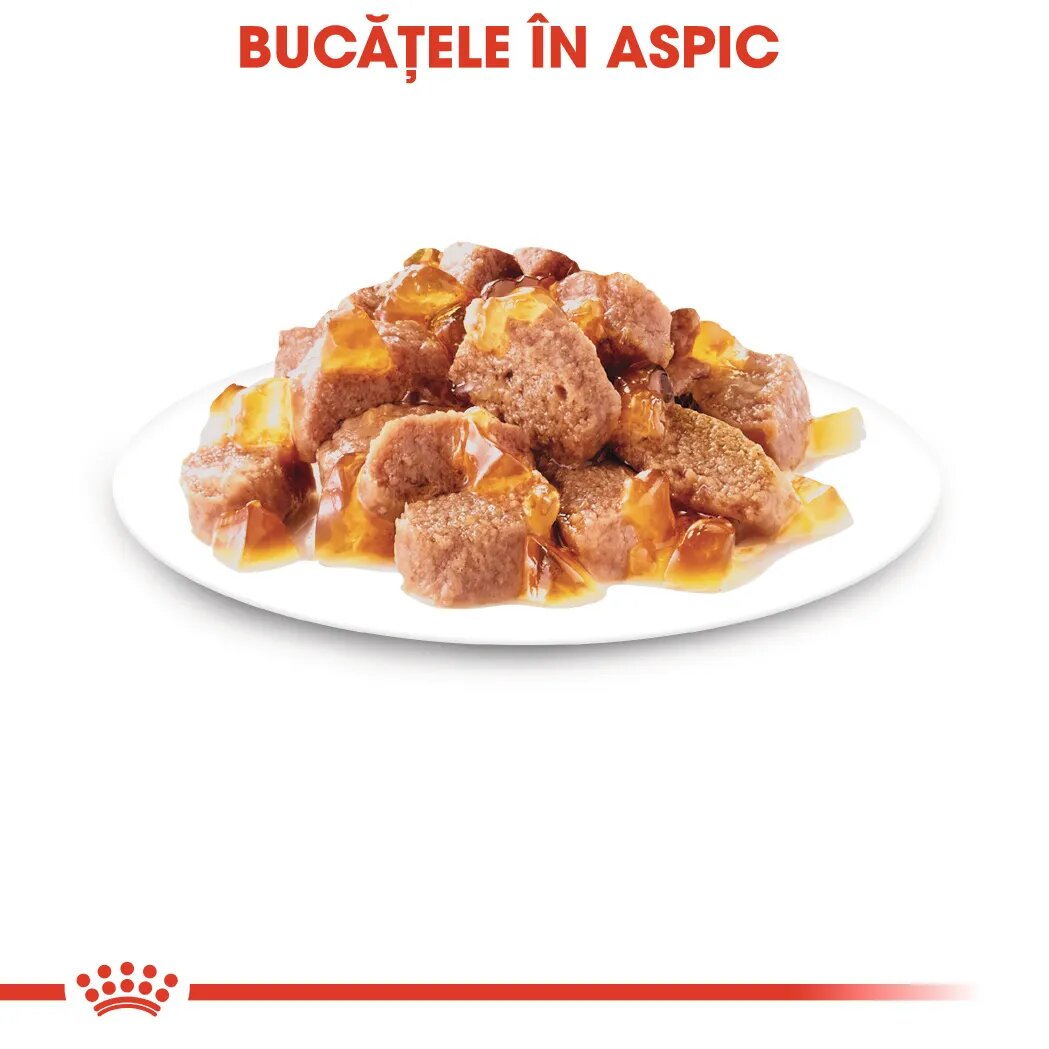 Royal Canin Sterilised Adult hrană umedă pisici sterilizate (în aspic) bax 85g x 12buc