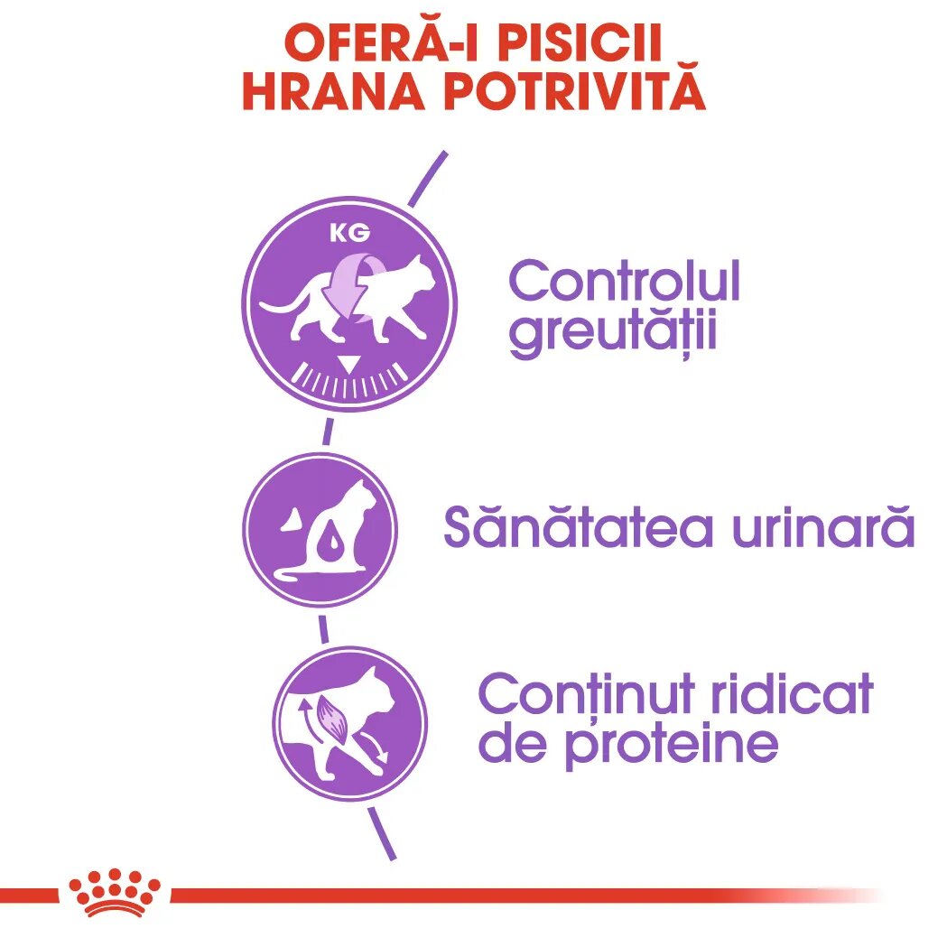 Royal Canin Sterilised Adult hrană uscată pisici sterilizate 10kg