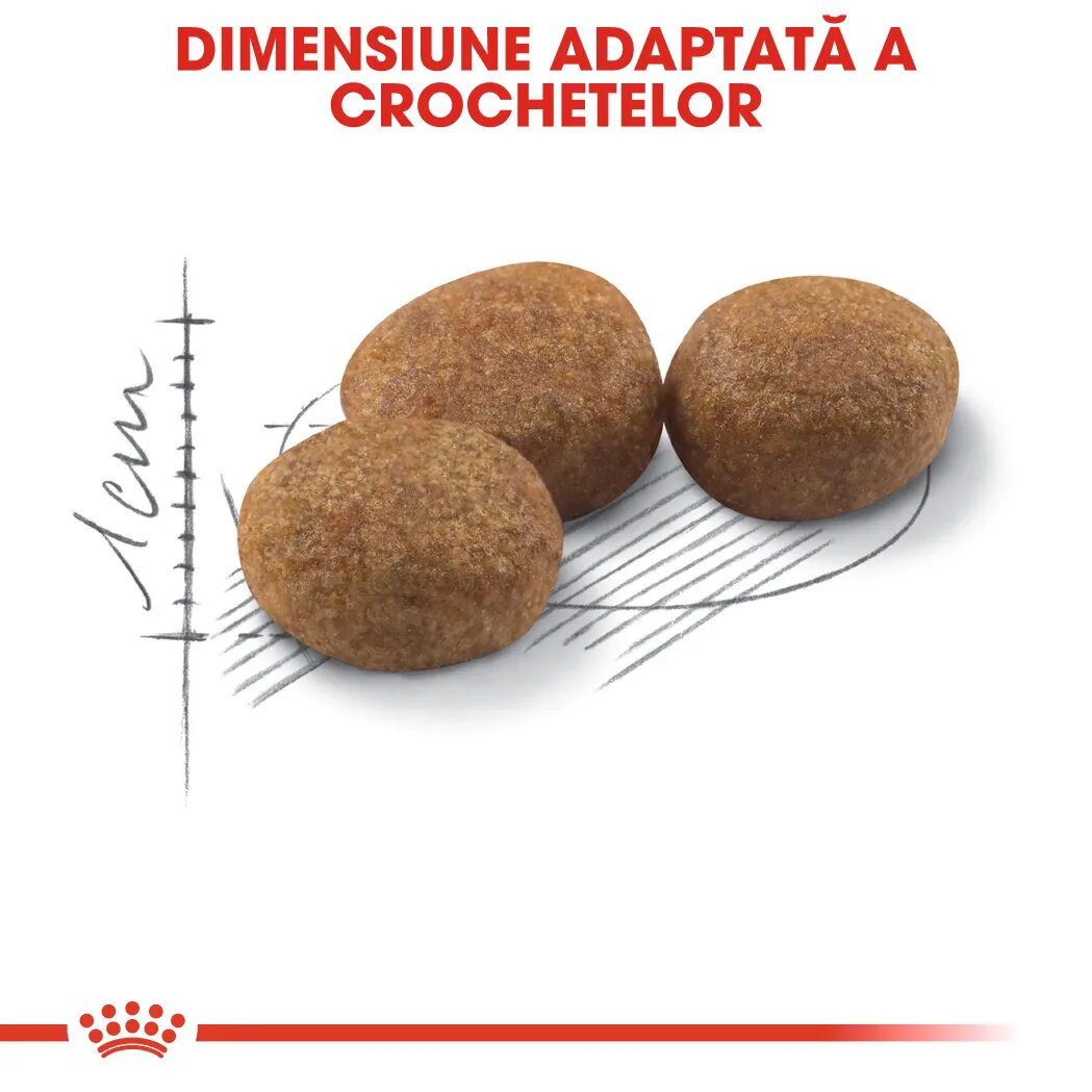 Royal Canin Sterilised Adult hrană uscată pisici sterilizate 10kg