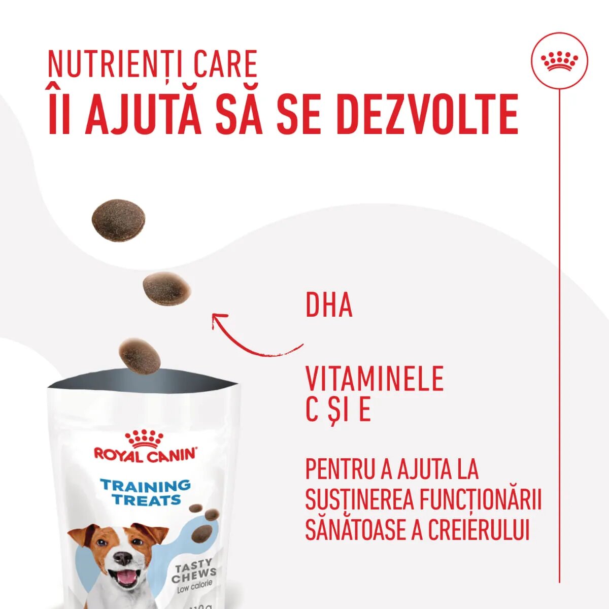Royal Canin Training Treats recompense nutriționale pentru dresaj 110g