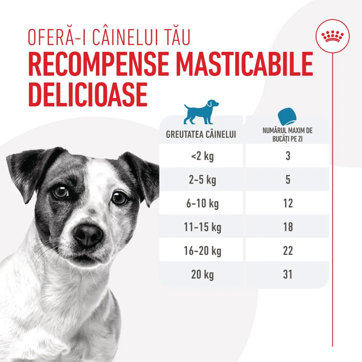 Royal Canin Training Treats recompense nutriționale pentru dresaj 110g