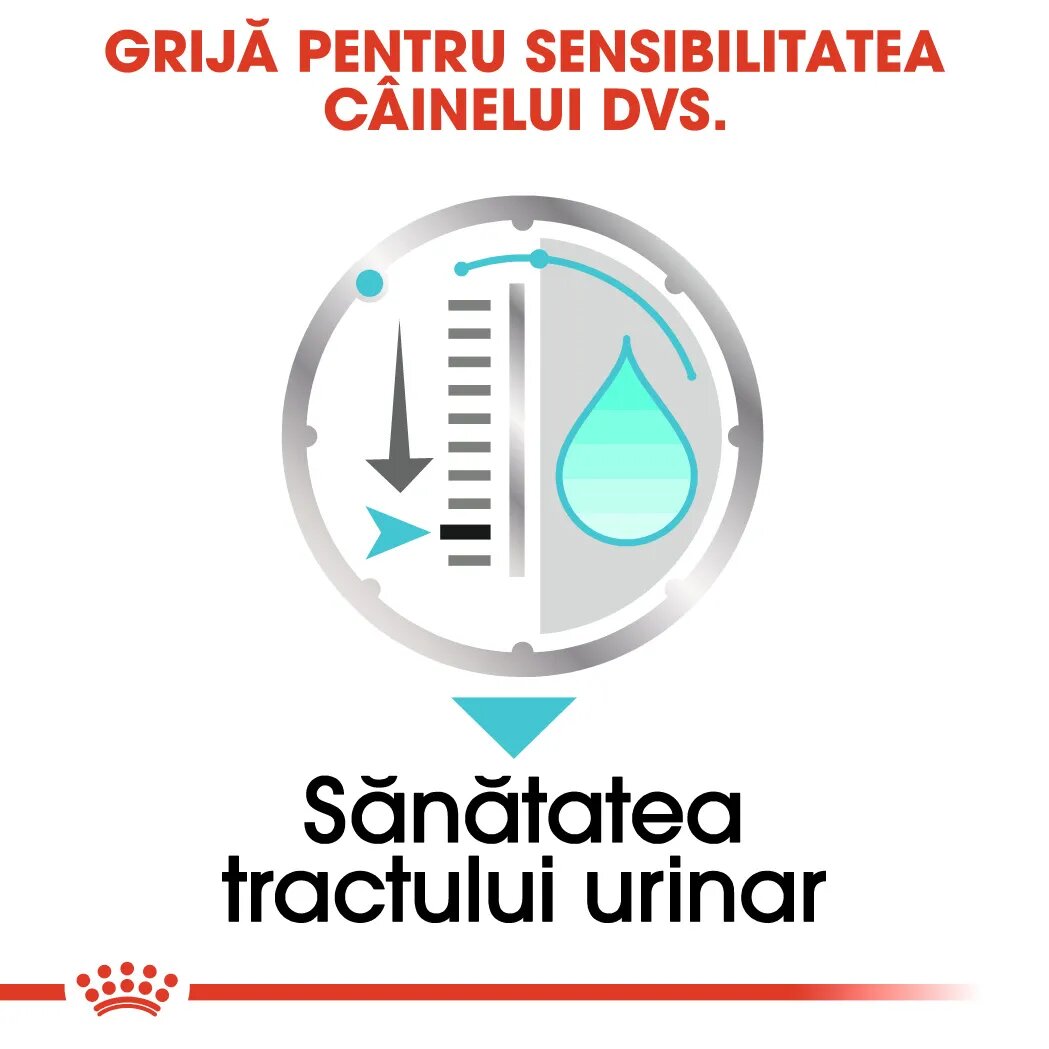 Royal Canin Urinary Care Adult hrană umedă câini sănătatea tractului urinar (pate) 85g