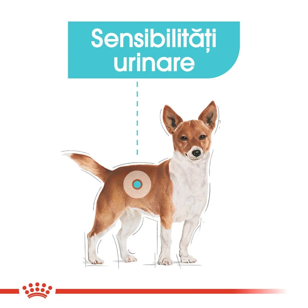 Royal Canin Urinary Care Adult hrană umedă câini sănătatea tractului urinar (pate) bax 85g x 12buc