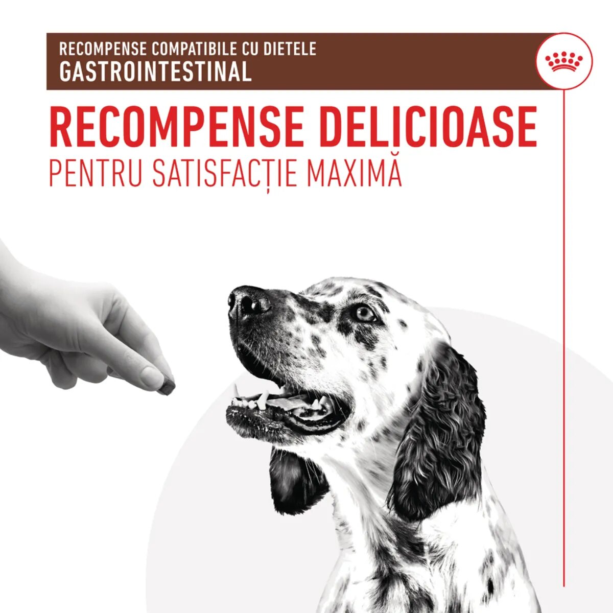 ROYAL CANIN VETERINARY DIET Gastrointestinal Treats punguță recompense funcționale câini sistem digestiv 230g
