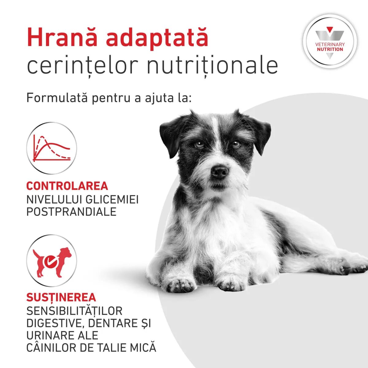 ROYAL CANIN VETERINARY DIET Glycobalance Small Dogs XS-S dietă veterinară hrană uscată câini diabet 1.5kg