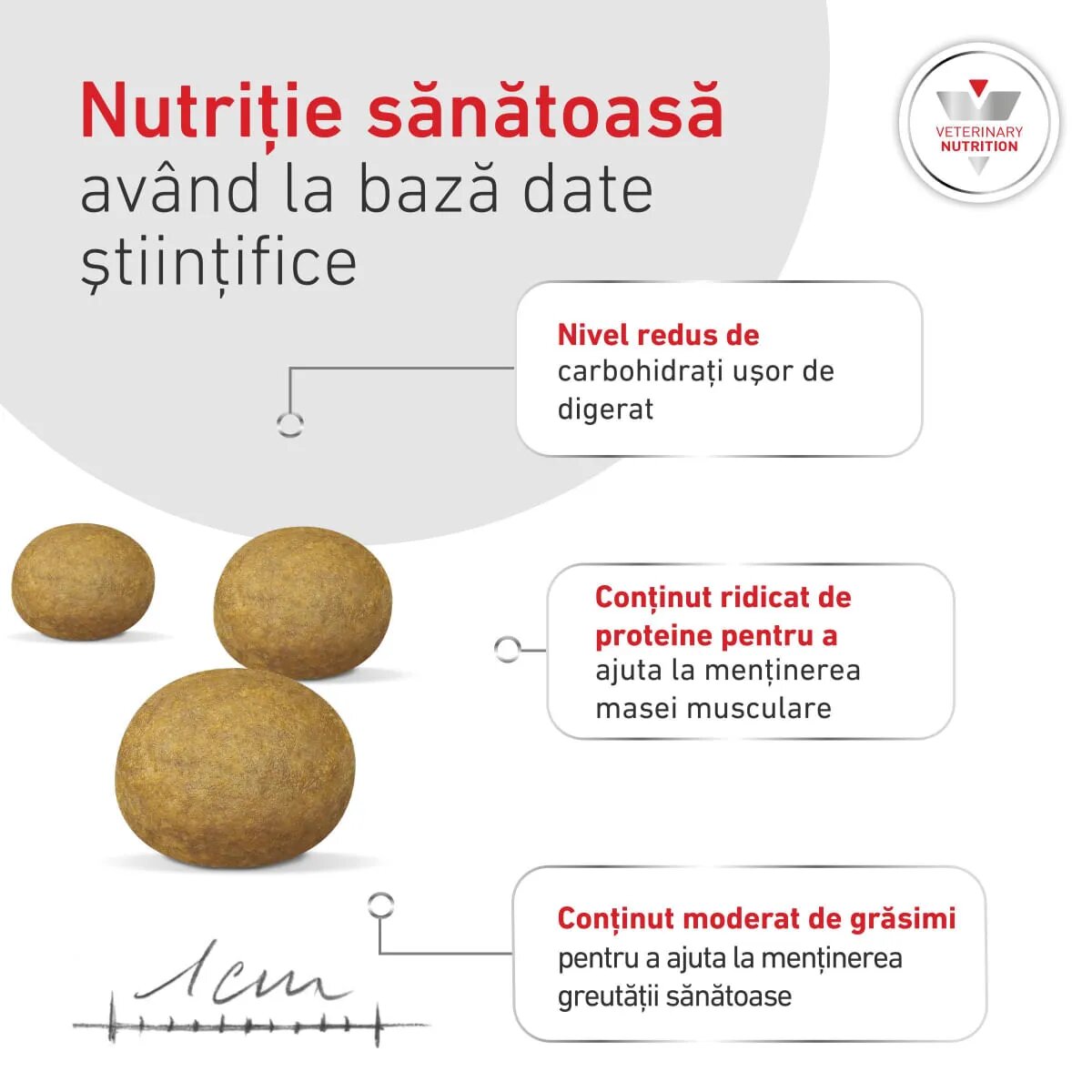 ROYAL CANIN VETERINARY DIET Glycobalance Small Dogs XS-S dietă veterinară hrană uscată câini diabet 1.5kg