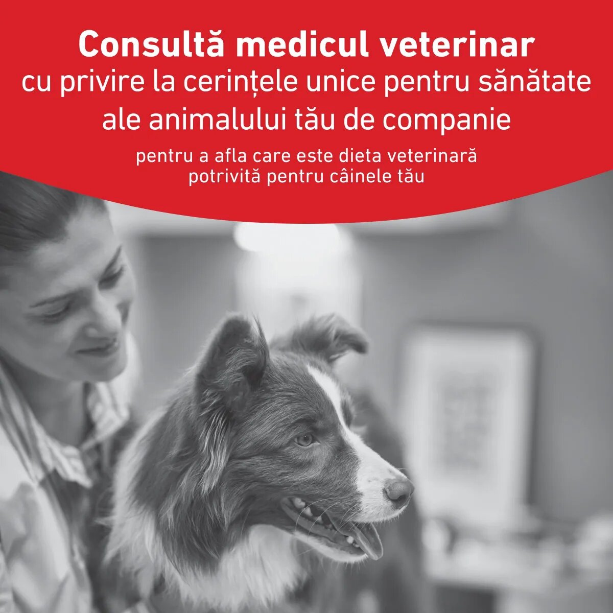 ROYAL CANIN VETERINARY DIET Glycobalance XS-XL dietă veterinară hrană uscată câini diabet 1.5kg