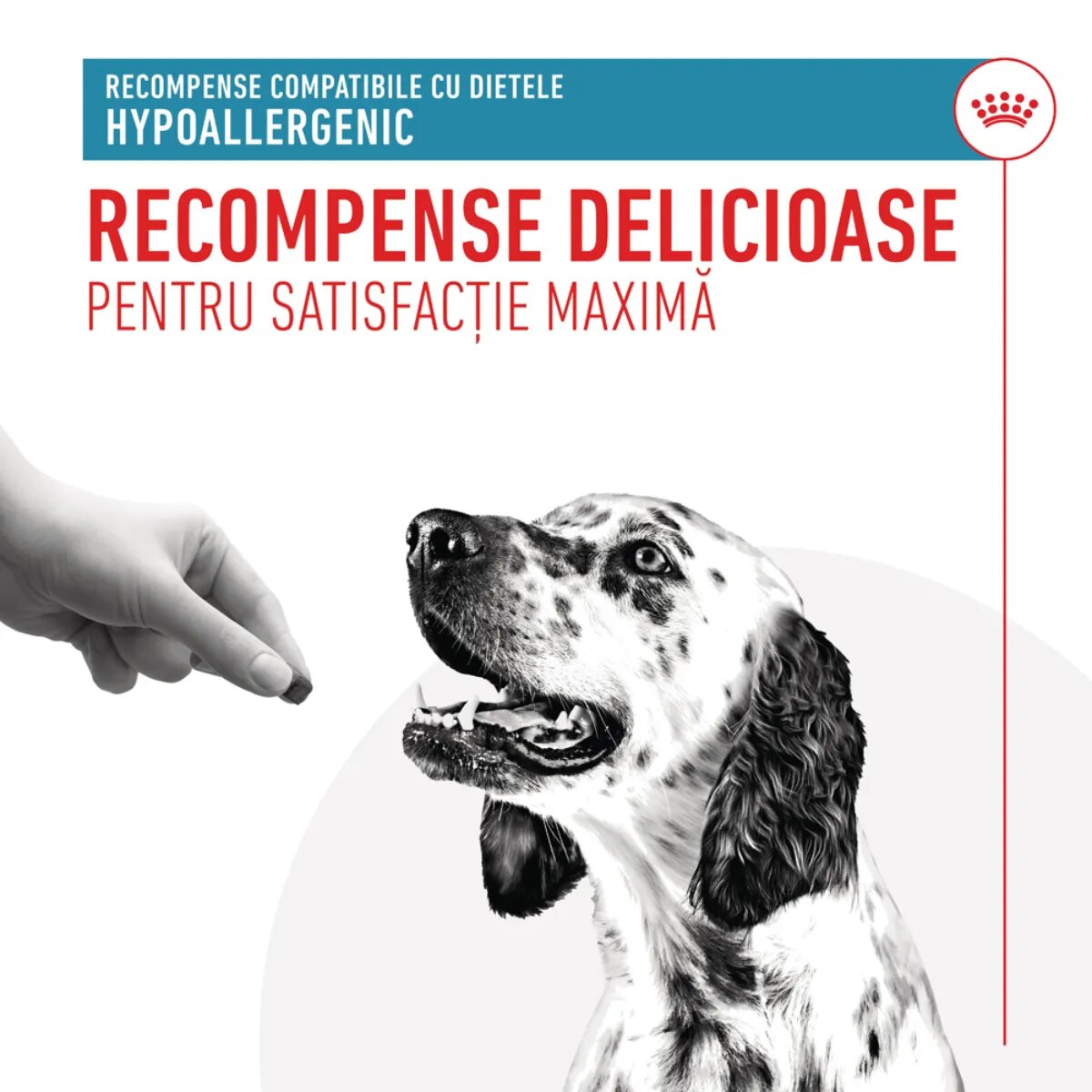 ROYAL CANIN VETERINARY DIET Hypoallergenic Treats punguță recompense funcționale câini alergii 230g