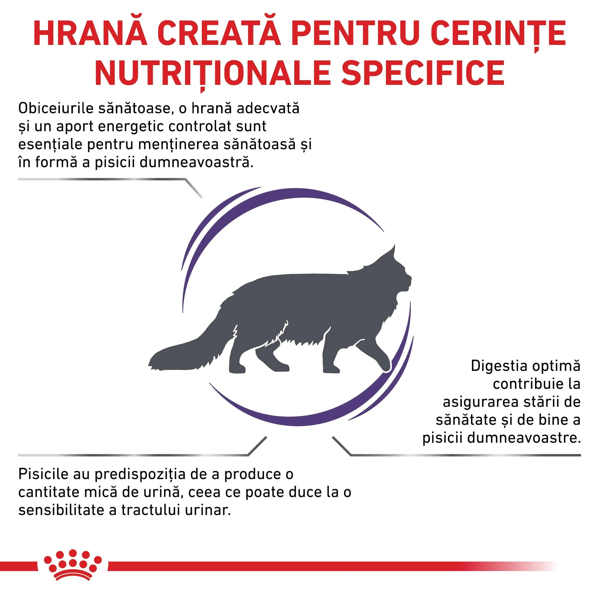 ROYAL CANIN VETERINARY DIET ROYAL CANIN VD Adult Cat dietă veterinară hrană uscată pisici 8kg