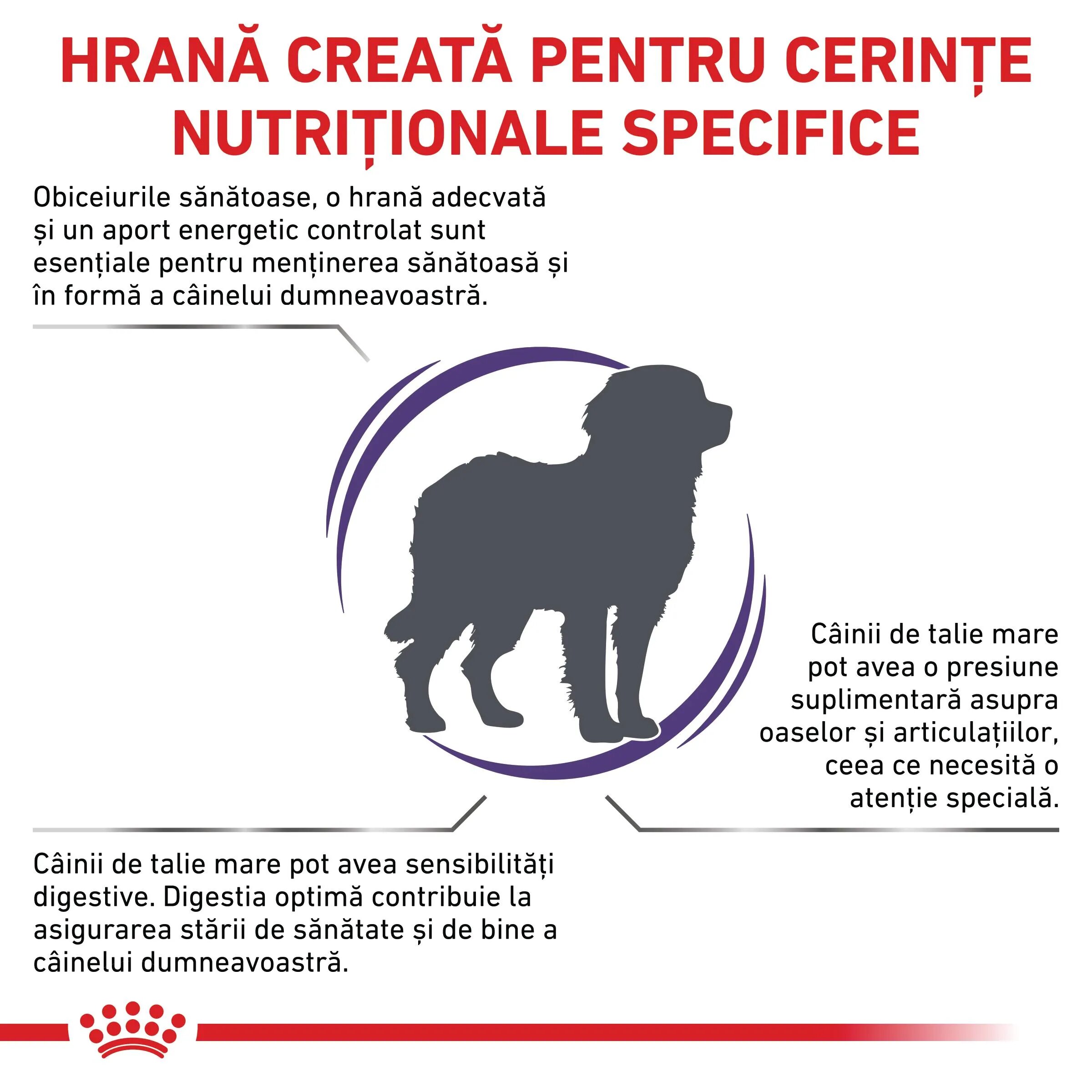 ROYAL CANIN VETERINARY DIET ROYAL CANIN VD Adult Large Dog L-XL dietă veterinară hrană uscată câini 13kg
