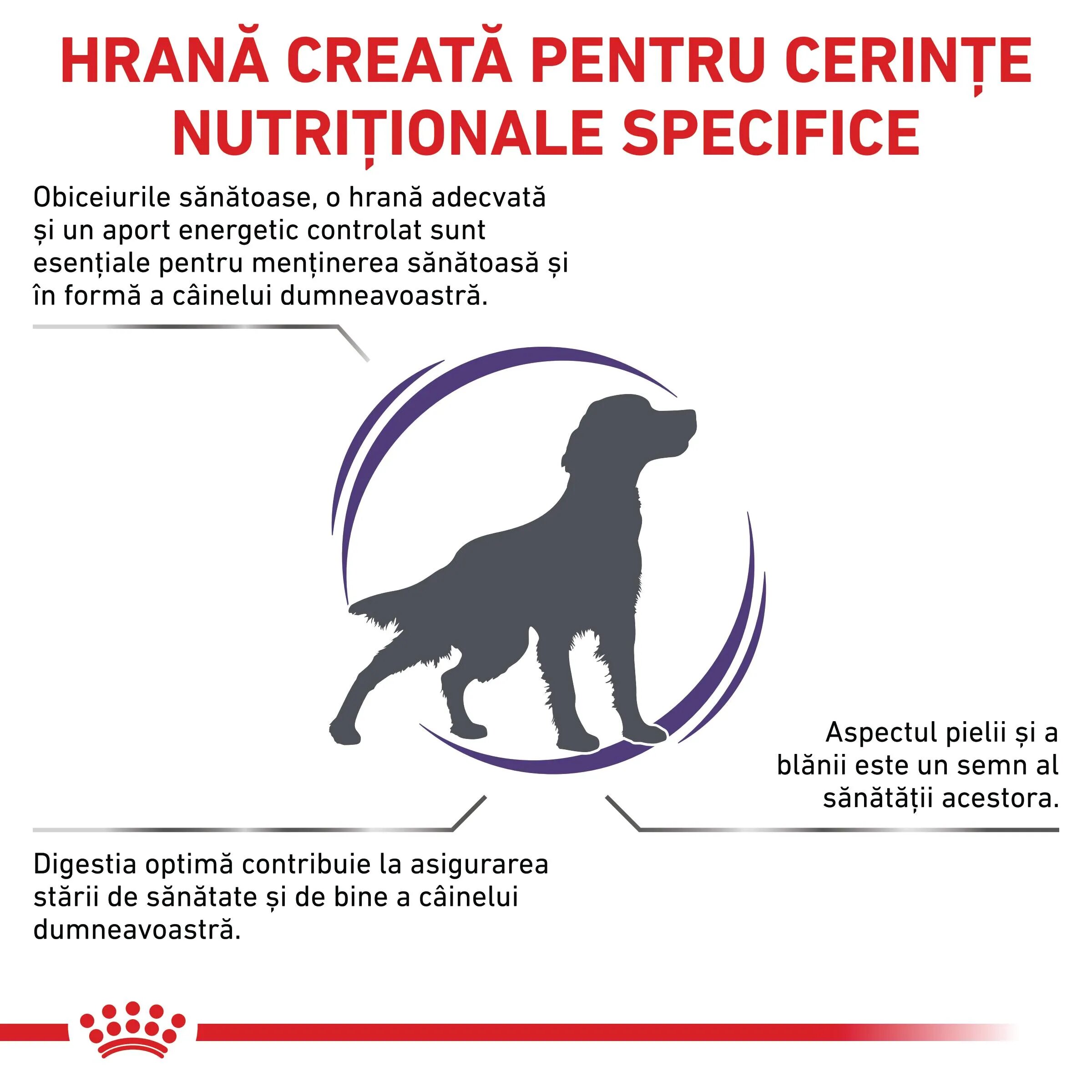 ROYAL CANIN VETERINARY DIET ROYAL CANIN VD Adult Medium Dog M dietă veterinară hrană uscată câini 10kg