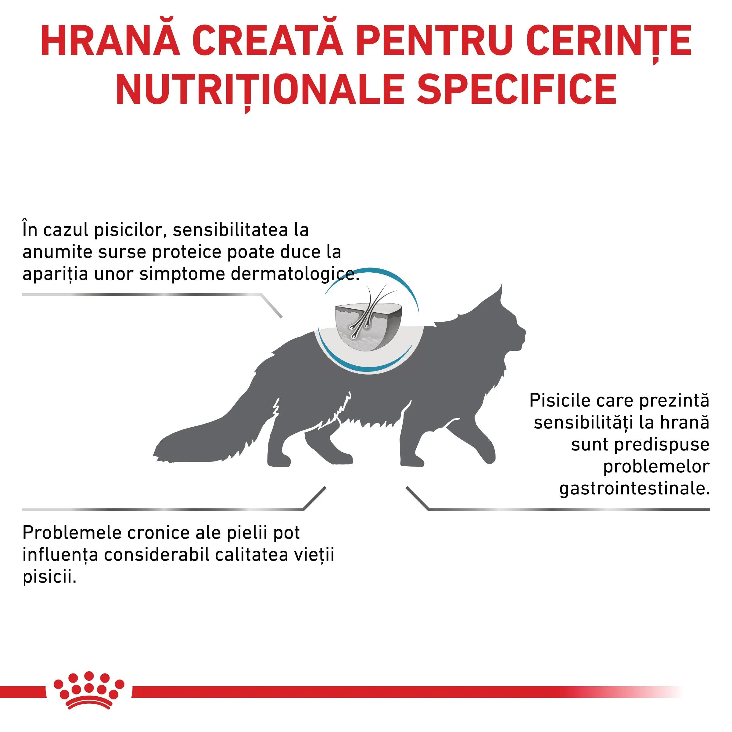 ROYAL CANIN VETERINARY DIET ROYAL CANIN VD Anallergenic dietă veterinară hrană uscată pisici alergii 4kg