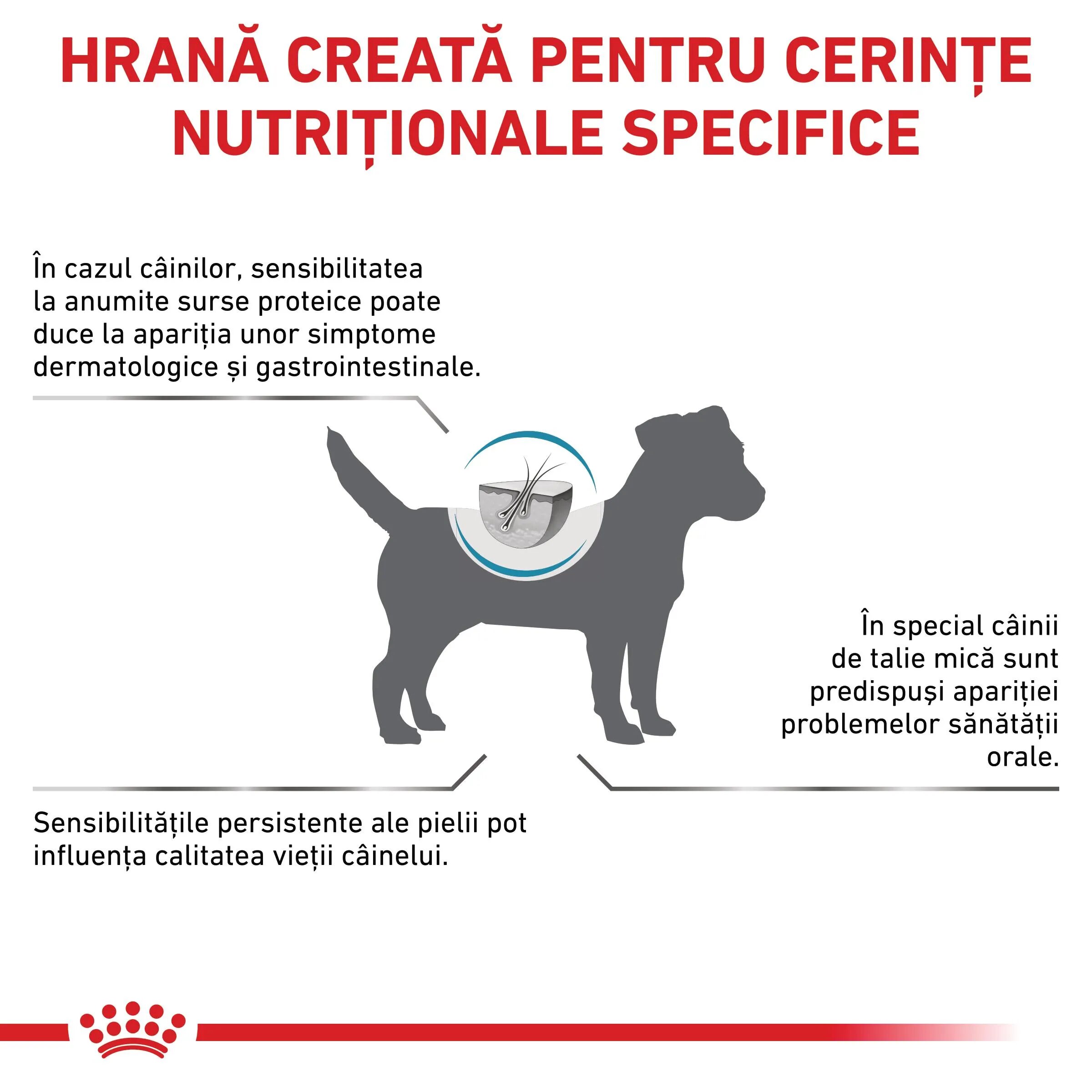 ROYAL CANIN VETERINARY DIET ROYAL CANIN VD Anallergenic Small Dog XS-S dietă veterinară hrană uscată câini alergii alimentare 1.5kg