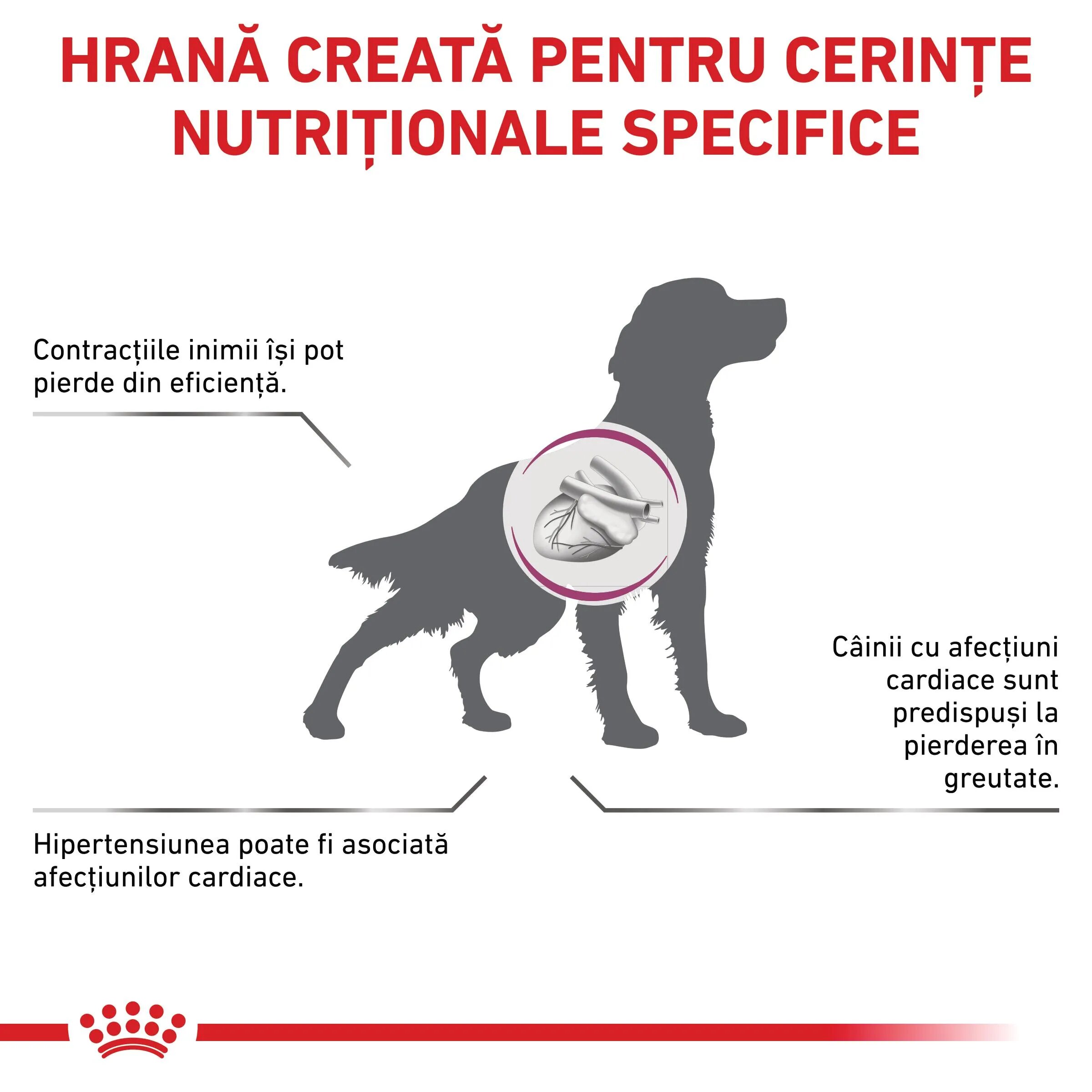 ROYAL CANIN VETERINARY DIET ROYAL CANIN VD Cardiac XS-XL dietă veterinară conservă hrană umedă câini sistem cardio-vascular (pate) 410g