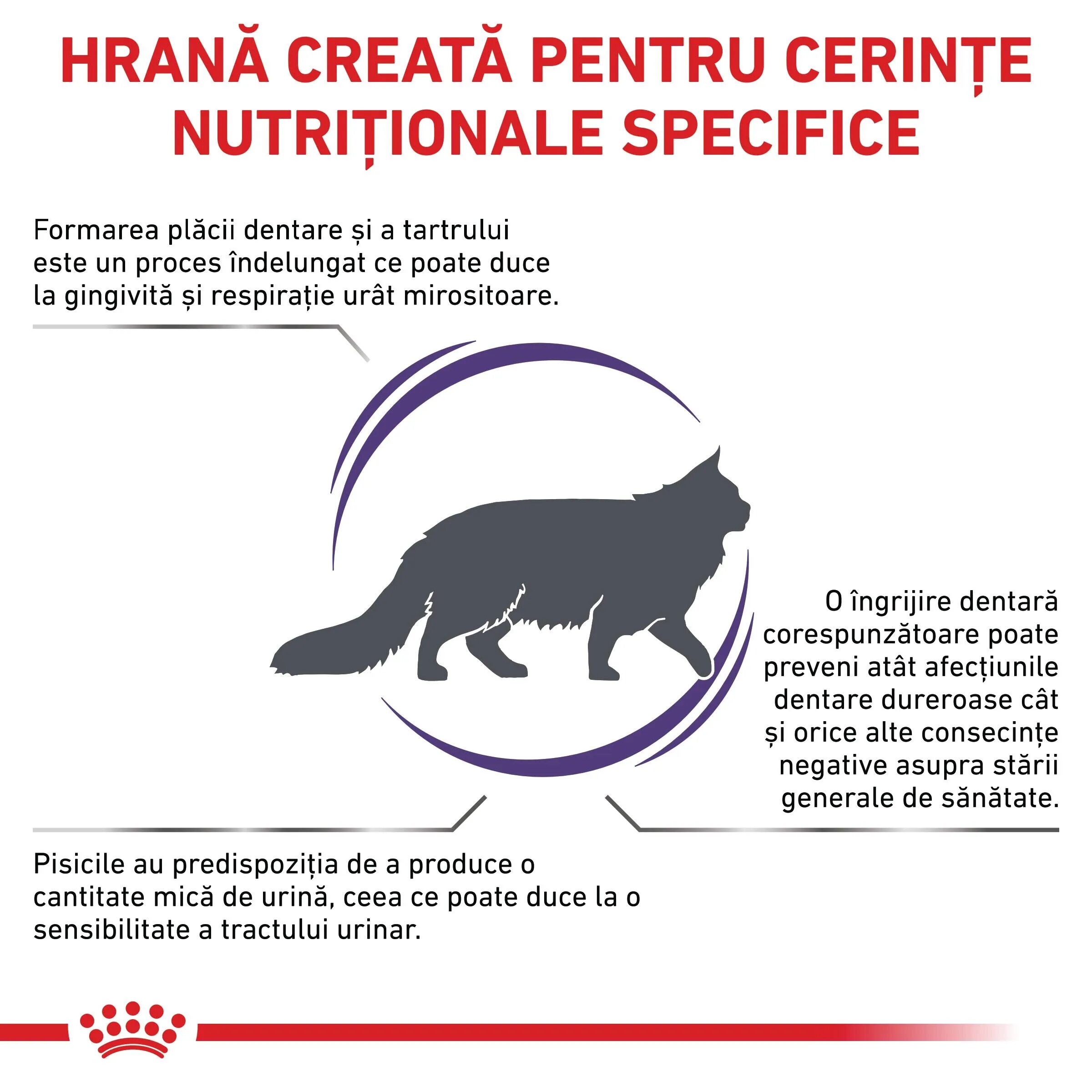 ROYAL CANIN VETERINARY DIET ROYAL CANIN VD Dental dietă veterinară hrană uscată pisici sensibilități dentare 1.5kg
