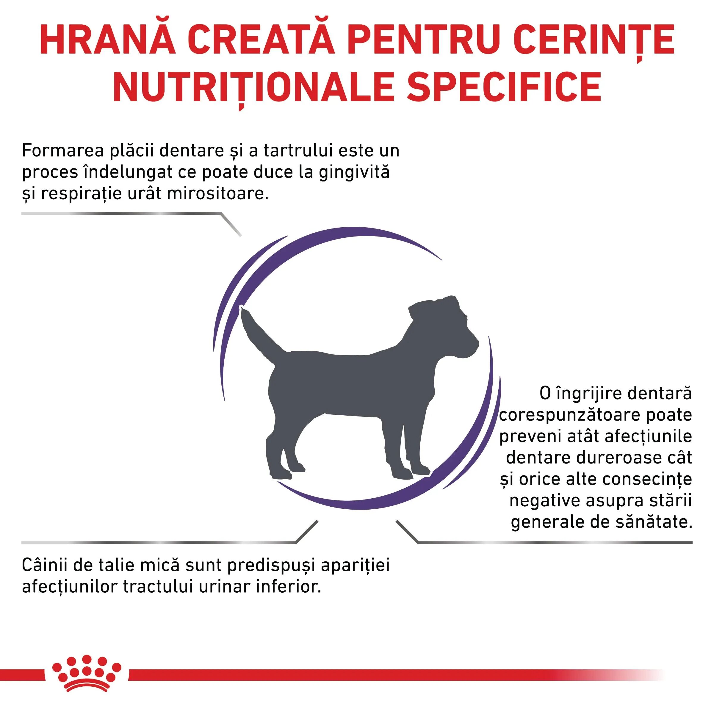 ROYAL CANIN VETERINARY DIET ROYAL CANIN VD Dental Small Dog XS-S dietă veterinară hrană uscată câini sensibilități dentare 1.5kg