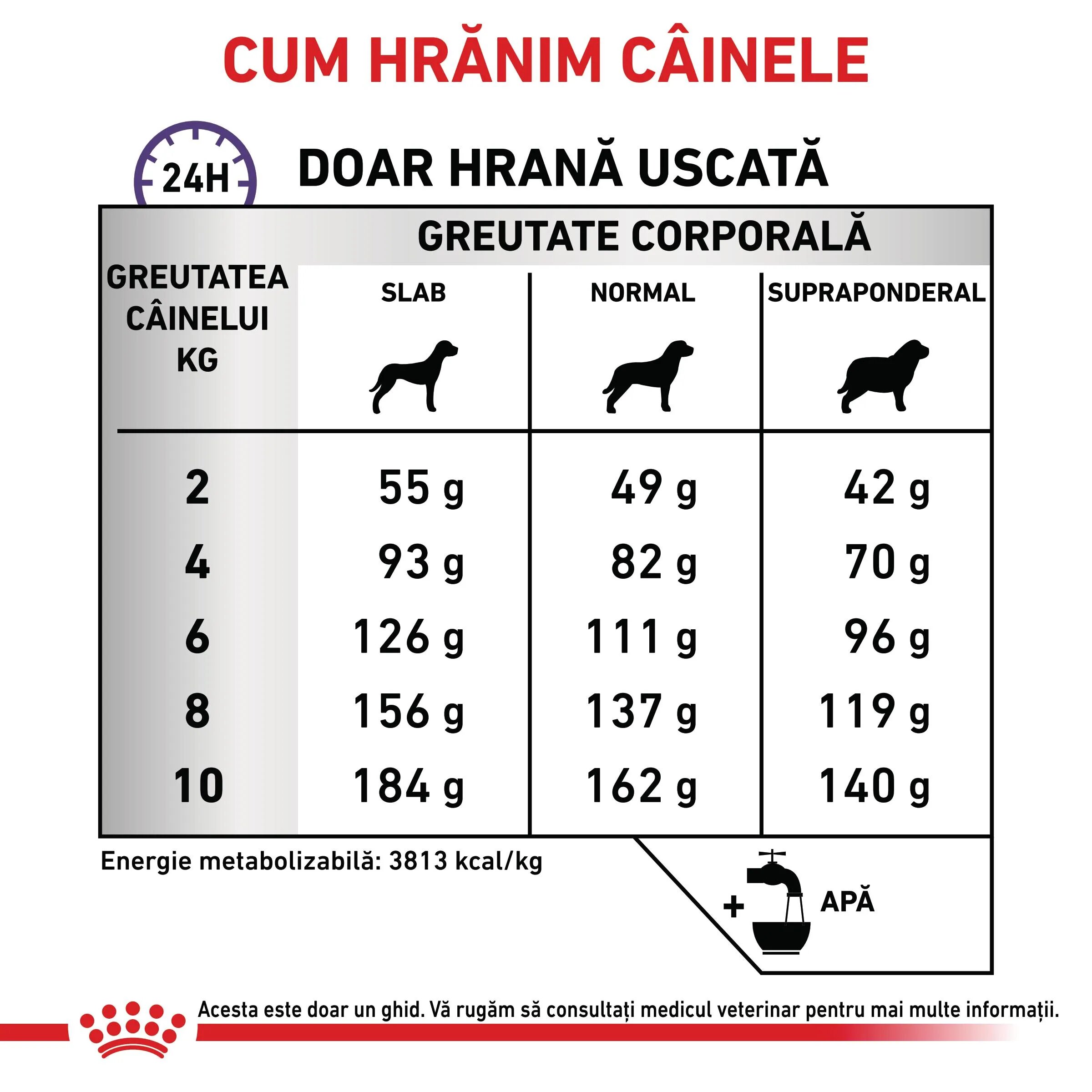 ROYAL CANIN VETERINARY DIET ROYAL CANIN VD Dental Small Dog XS-S dietă veterinară hrană uscată câini sensibilități dentare 1.5kg