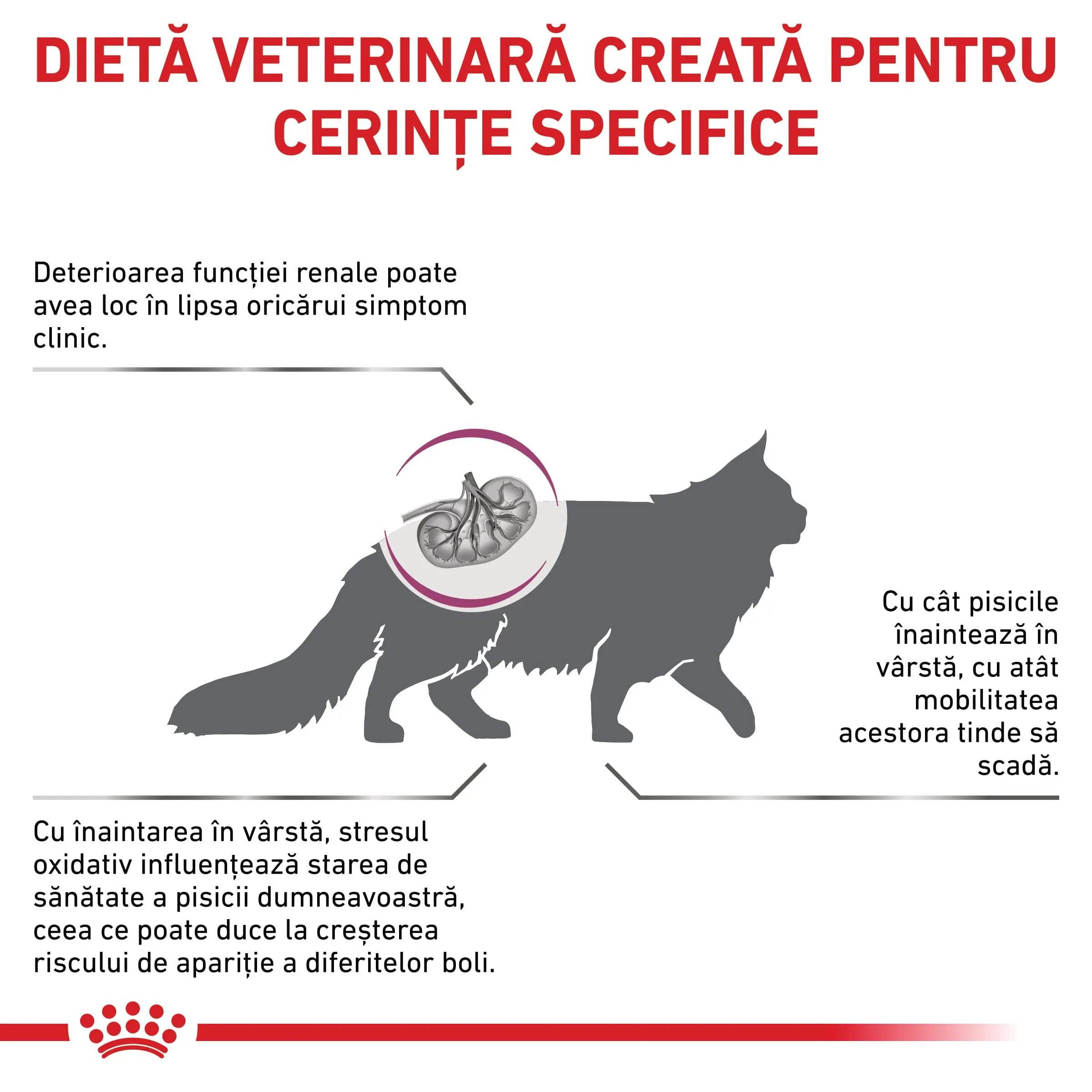 ROYAL CANIN VETERINARY DIET ROYAL CANIN VD Early Renal dietă veterinară hrană uscată pisici sistem renal 3.5kg