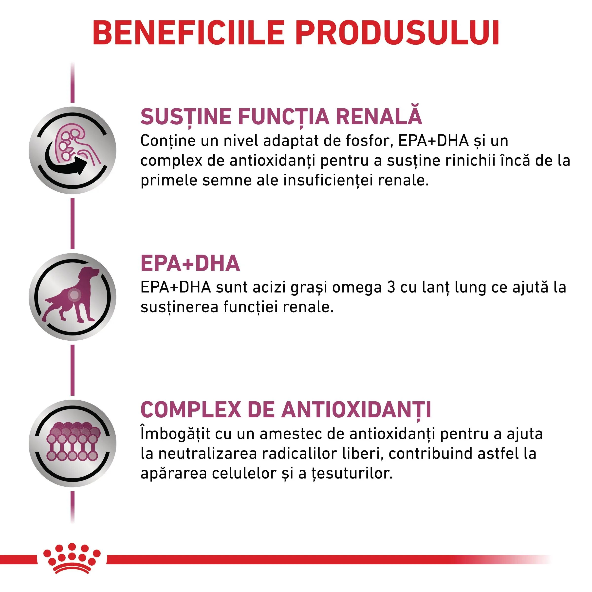 ROYAL CANIN VETERINARY DIET ROYAL CANIN VD Early Renal XS-XL dietă veterinară plic hrană umedă câini sistem renal (în sos) bax 100g x 12buc
