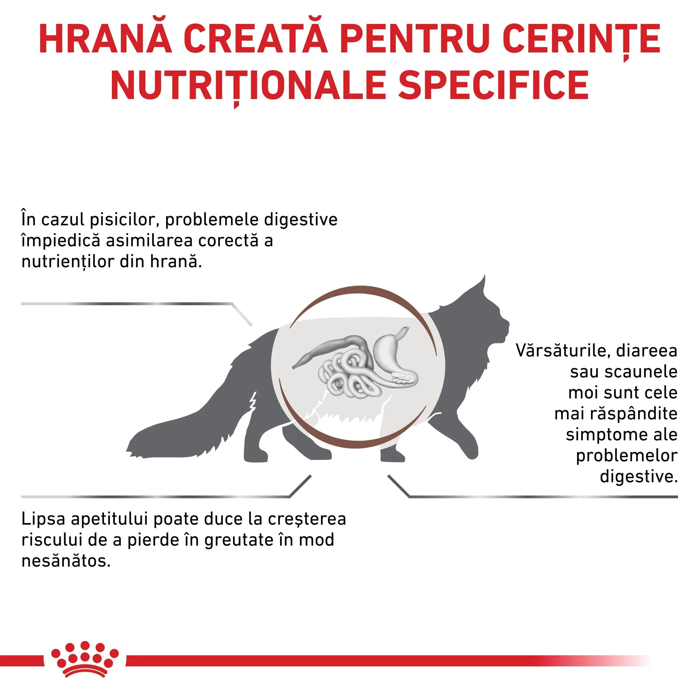 ROYAL CANIN VETERINARY DIET ROYAL CANIN VD Gastrointestinal dietă veterinară hrană uscată pisici sistem digestiv 4kg