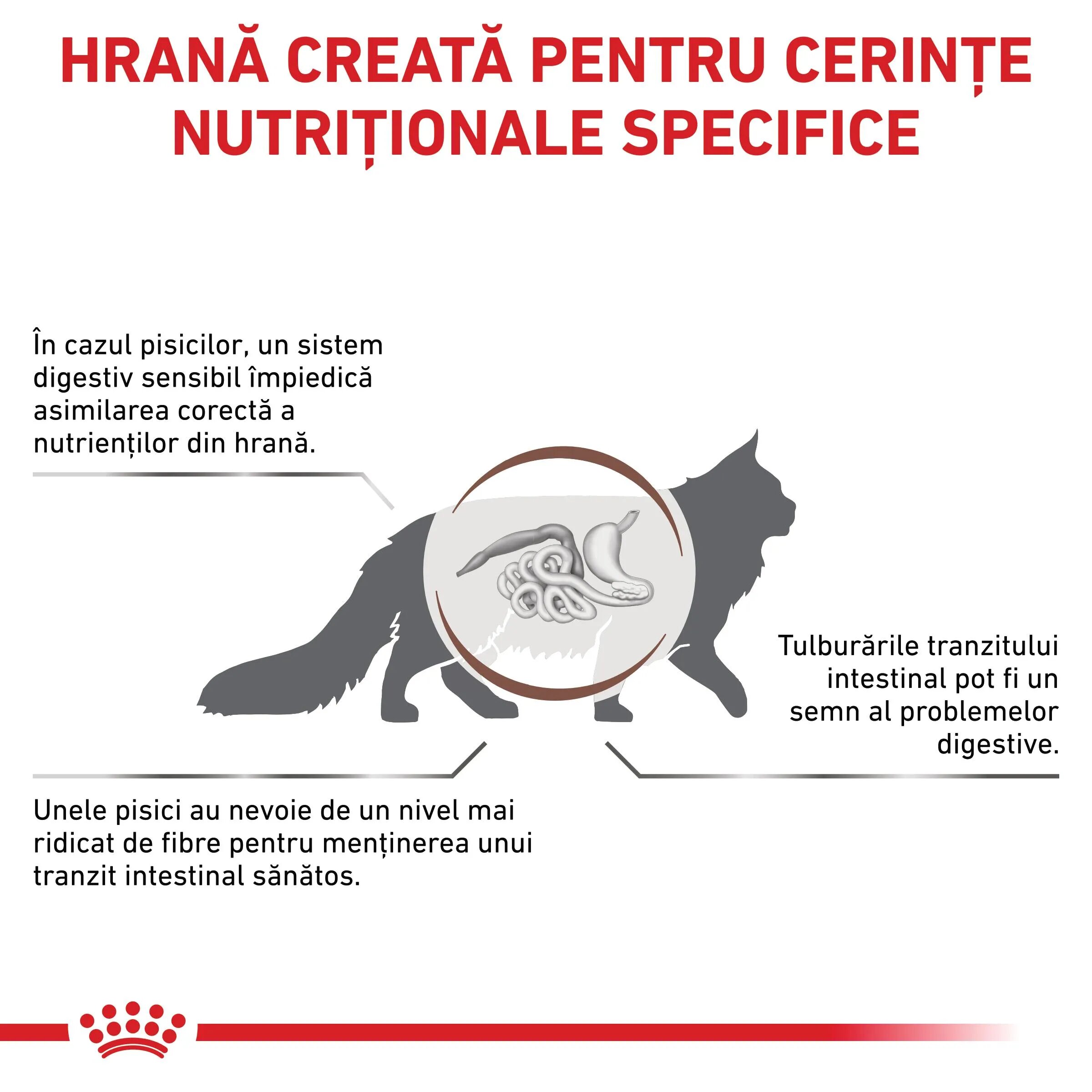 ROYAL CANIN VETERINARY DIET ROYAL CANIN VD Gastrointestinal Fibre Response dietă veterinară hrană uscată pisici sistem digestiv 400g