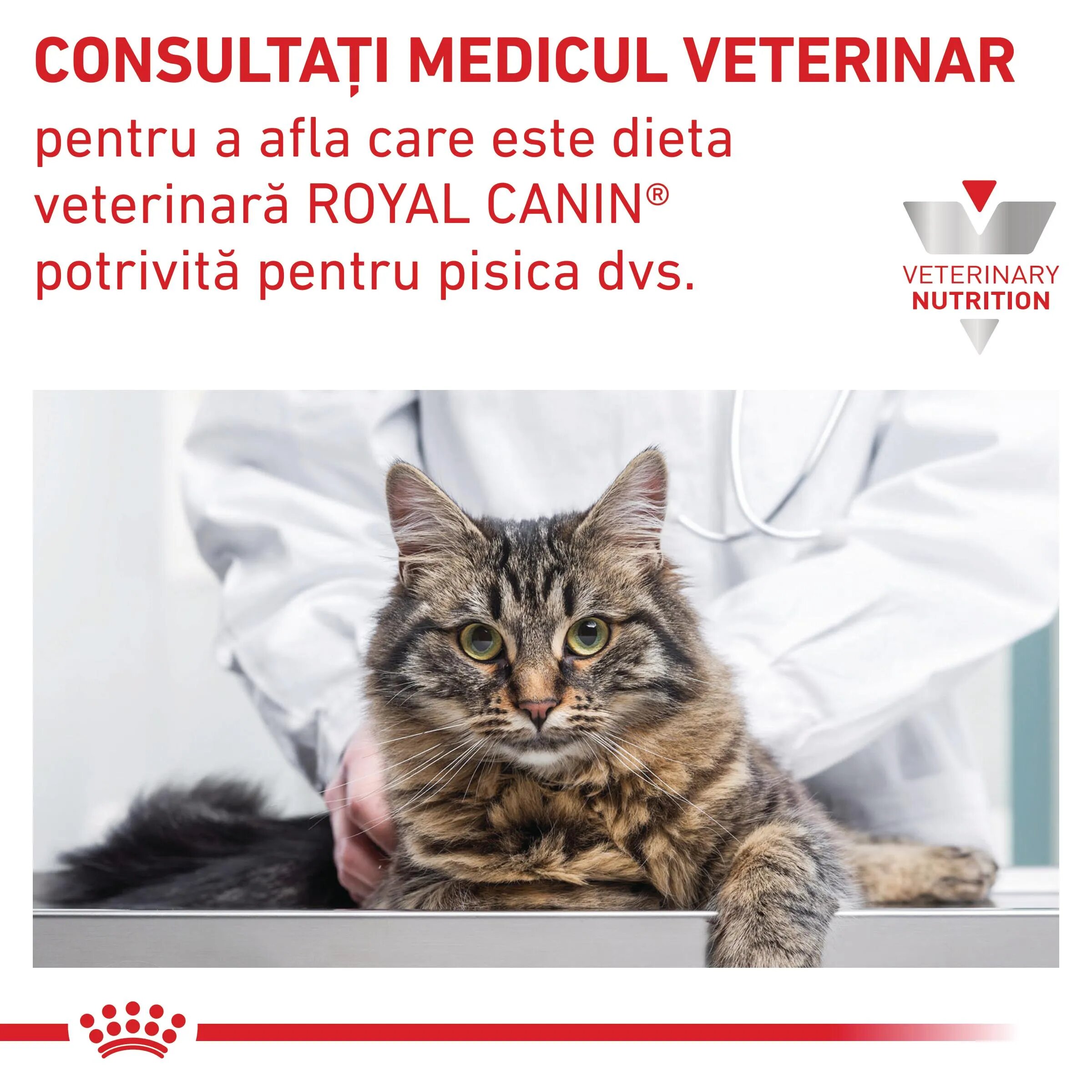 ROYAL CANIN VETERINARY DIET ROYAL CANIN VD Gastrointestinal Kitten dietă veterinară conservă hrană umedă pisici junior sistem digestiv (mousse) 195g