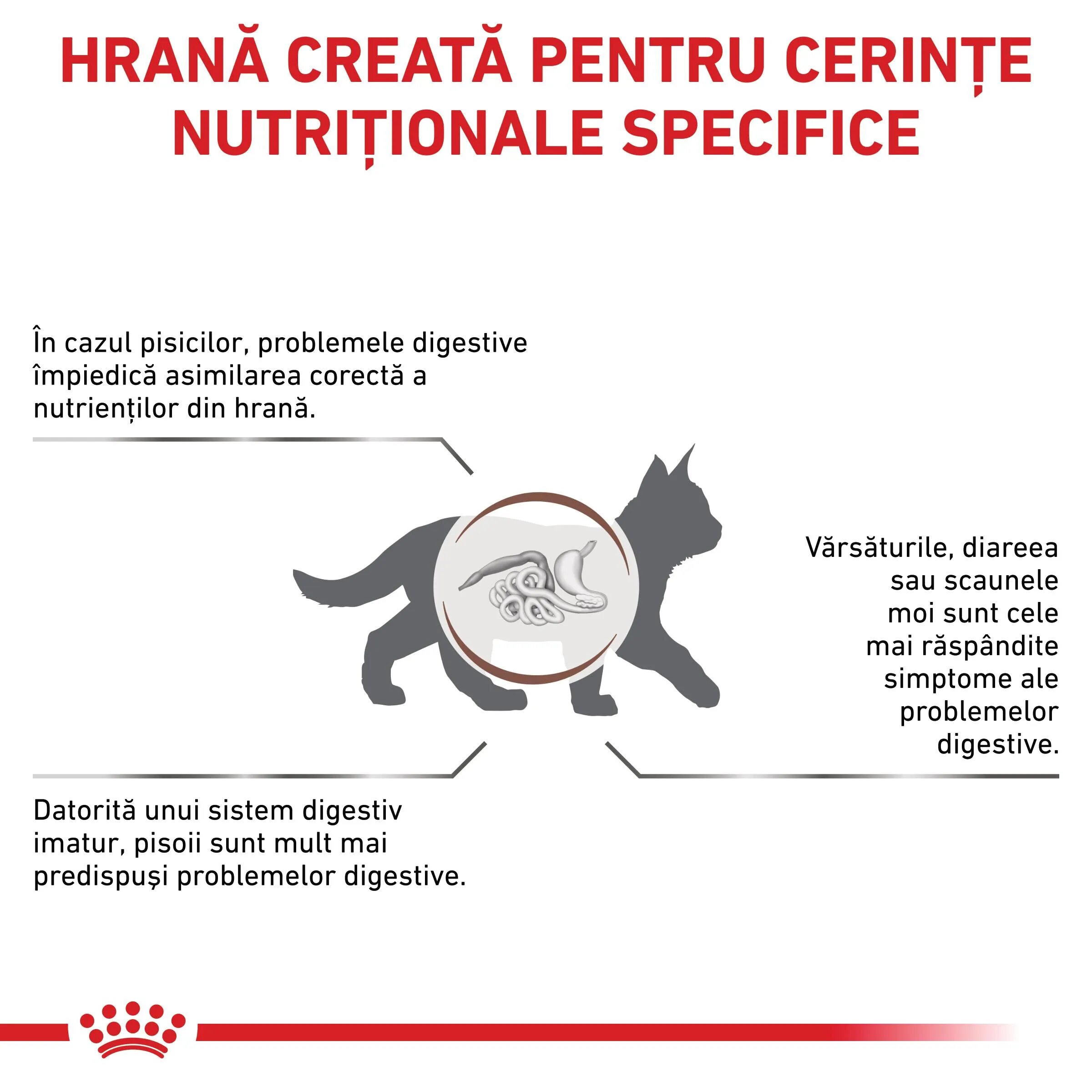 ROYAL CANIN VETERINARY DIET ROYAL CANIN VD Gastrointestinal Kitten dietă veterinară hrană uscată pisici junior sistem digestiv 400g