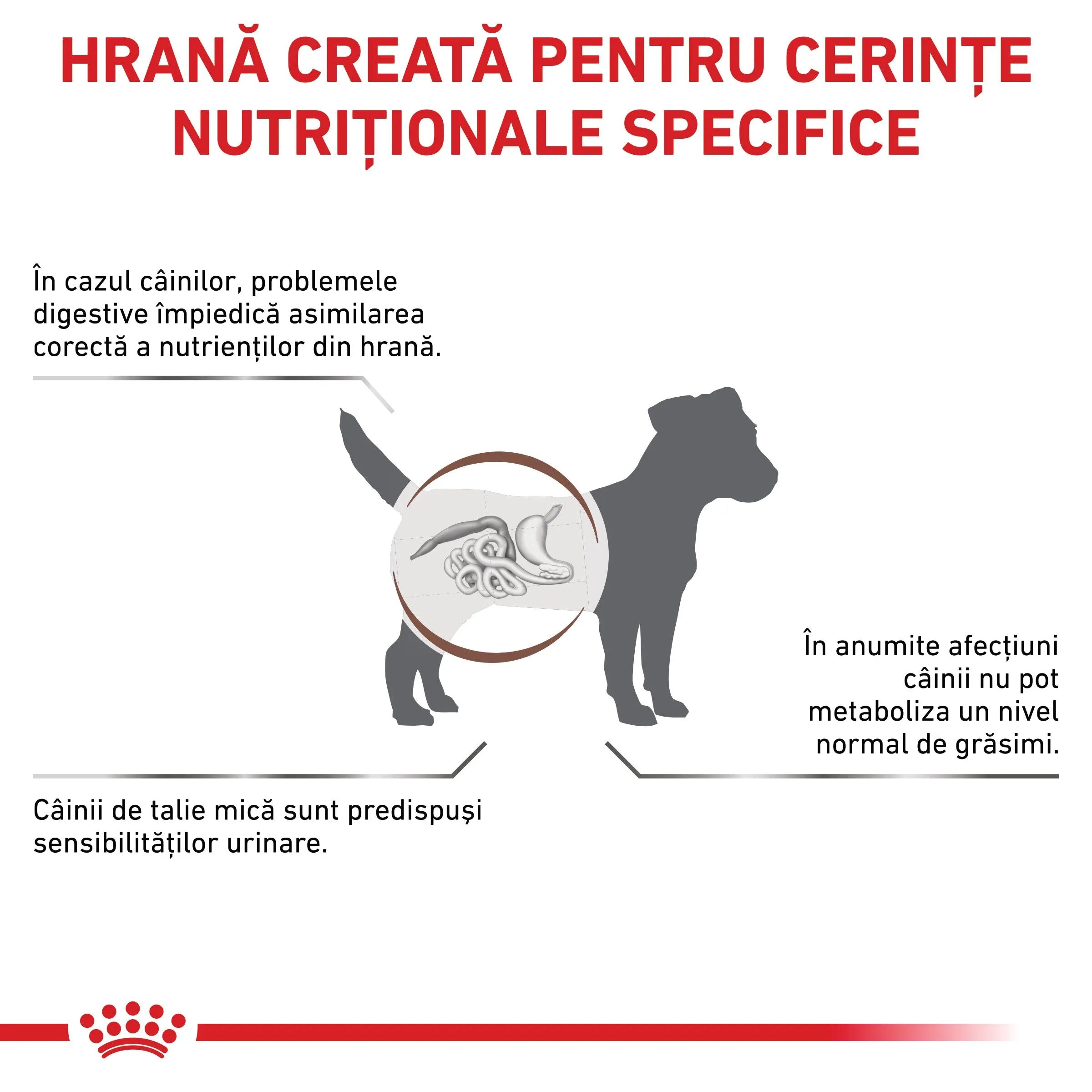 ROYAL CANIN VETERINARY DIET ROYAL CANIN VD Gastrointestinal Low Fat Small Dog XS-S dietă veterinară hrană uscată câini sistem digestiv 3.5kg