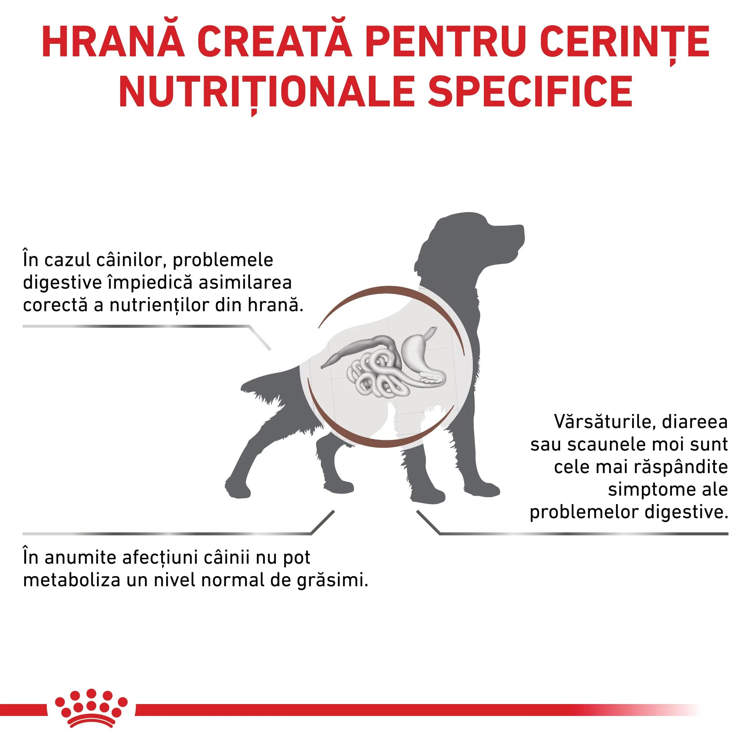ROYAL CANIN VETERINARY DIET ROYAL CANIN VD Gastrointestinal Low Fat XS-XL dietă veterinară hrană uscată câini sistem digestiv 1.5kg