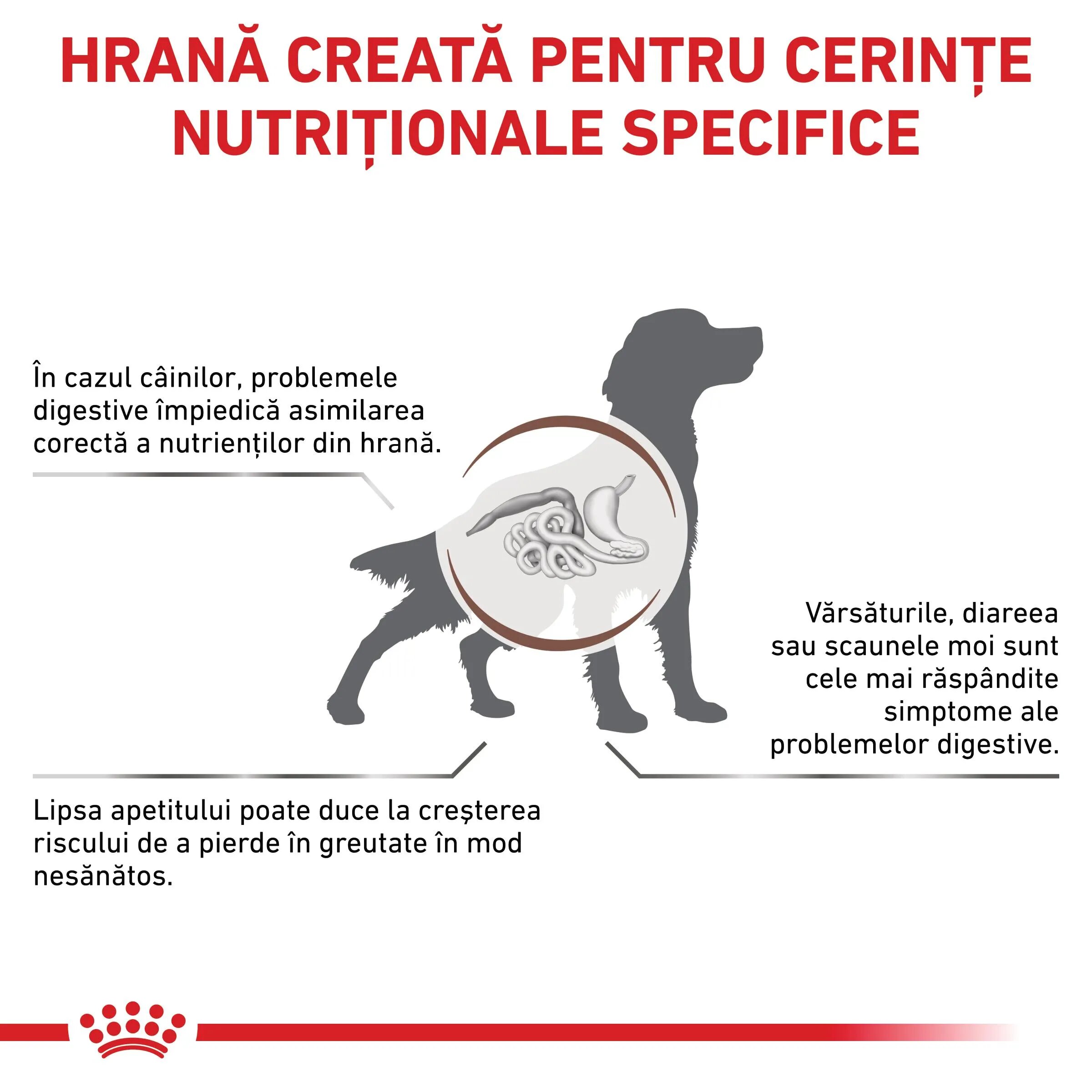 ROYAL CANIN VETERINARY DIET ROYAL CANIN VD Gastrointestinal M-XL dietă veterinară hrană uscată câini sistem digestiv 15kg