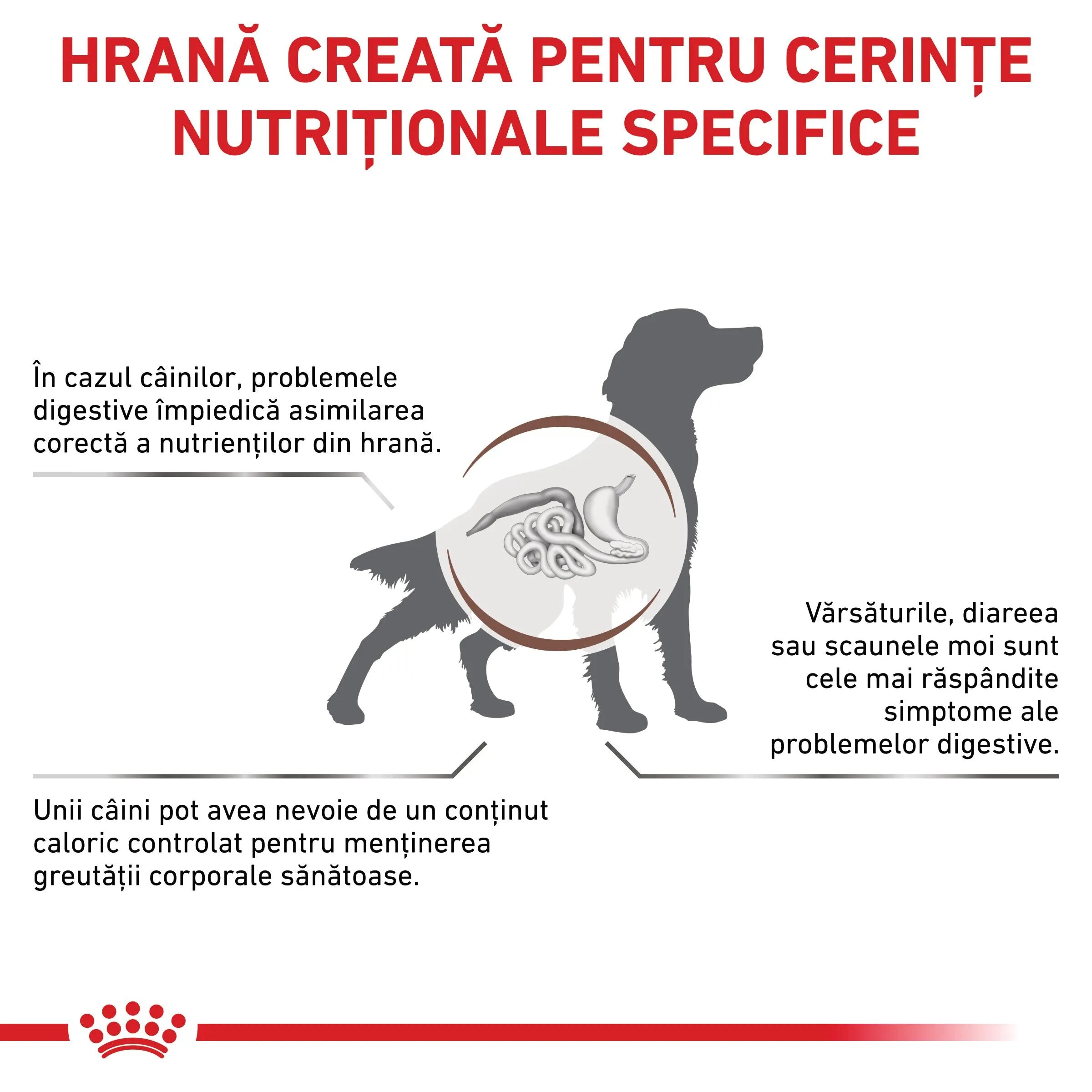 ROYAL CANIN VETERINARY DIET ROYAL CANIN VD Gastrointestinal Moderate Calorie XS-XL dietă veterinară hrană uscată câini sistem digestiv 2kg