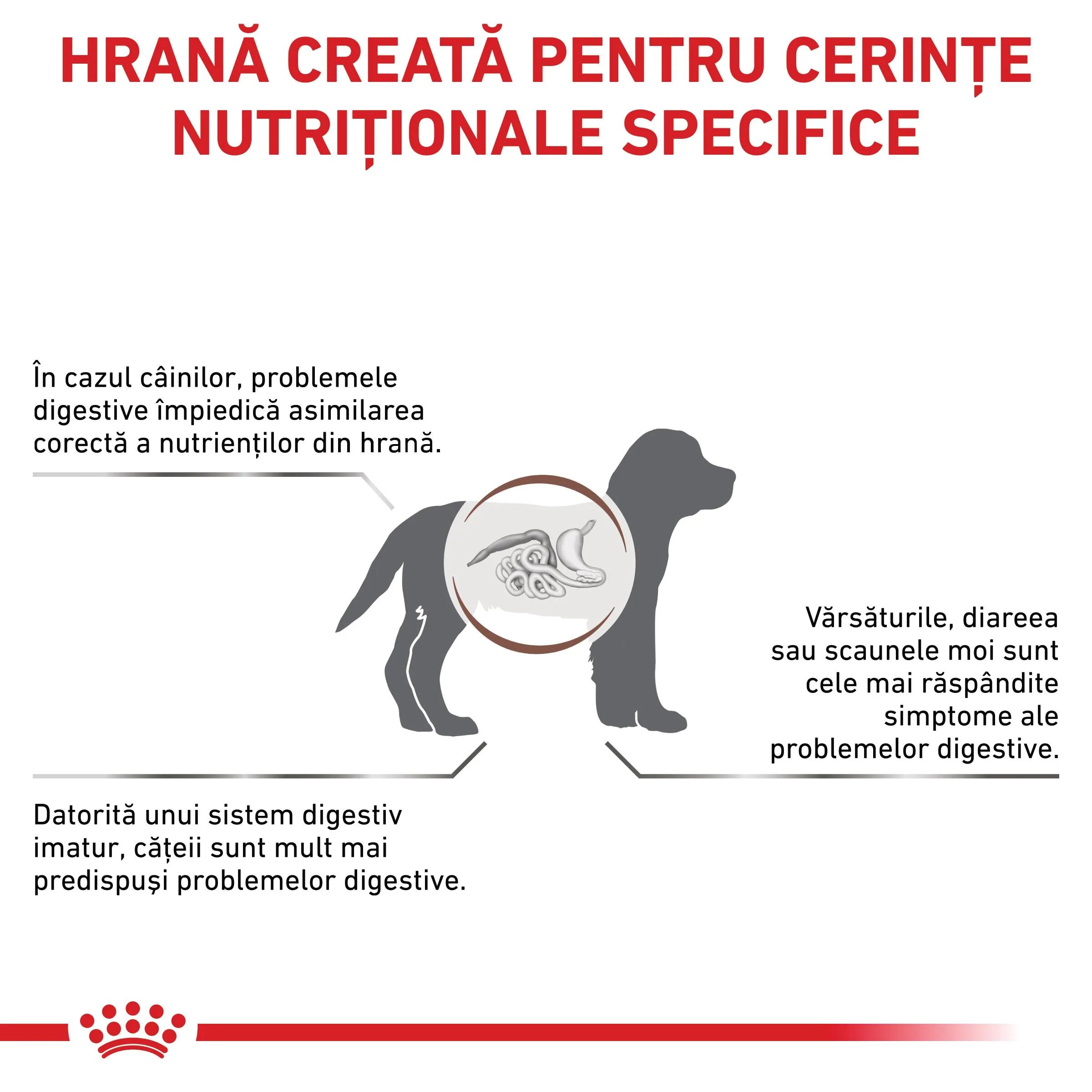 ROYAL CANIN VETERINARY DIET ROYAL CANIN VD Gastrointestinal Puppy XS-XL dietă veterinară hrană uscată câini junior sistem digestiv 10kg