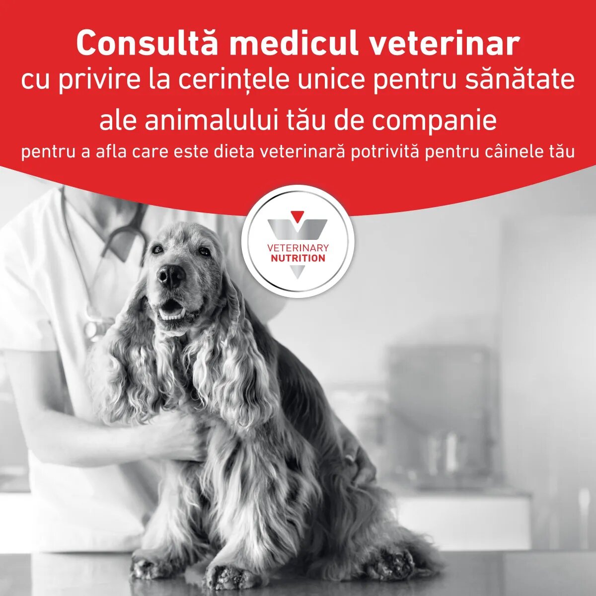 ROYAL CANIN VETERINARY DIET ROYAL CANIN VD Gastrointestinal XS-XL dietă veterinară conservă hrană umedă câini sistem digestiv (pate) 400g