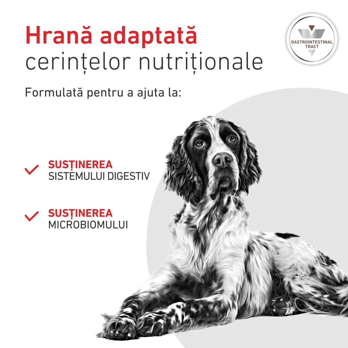 ROYAL CANIN VETERINARY DIET ROYAL CANIN VD Gastrointestinal XS-XL dietă veterinară conservă hrană umedă câini sistem digestiv (pate) 400g