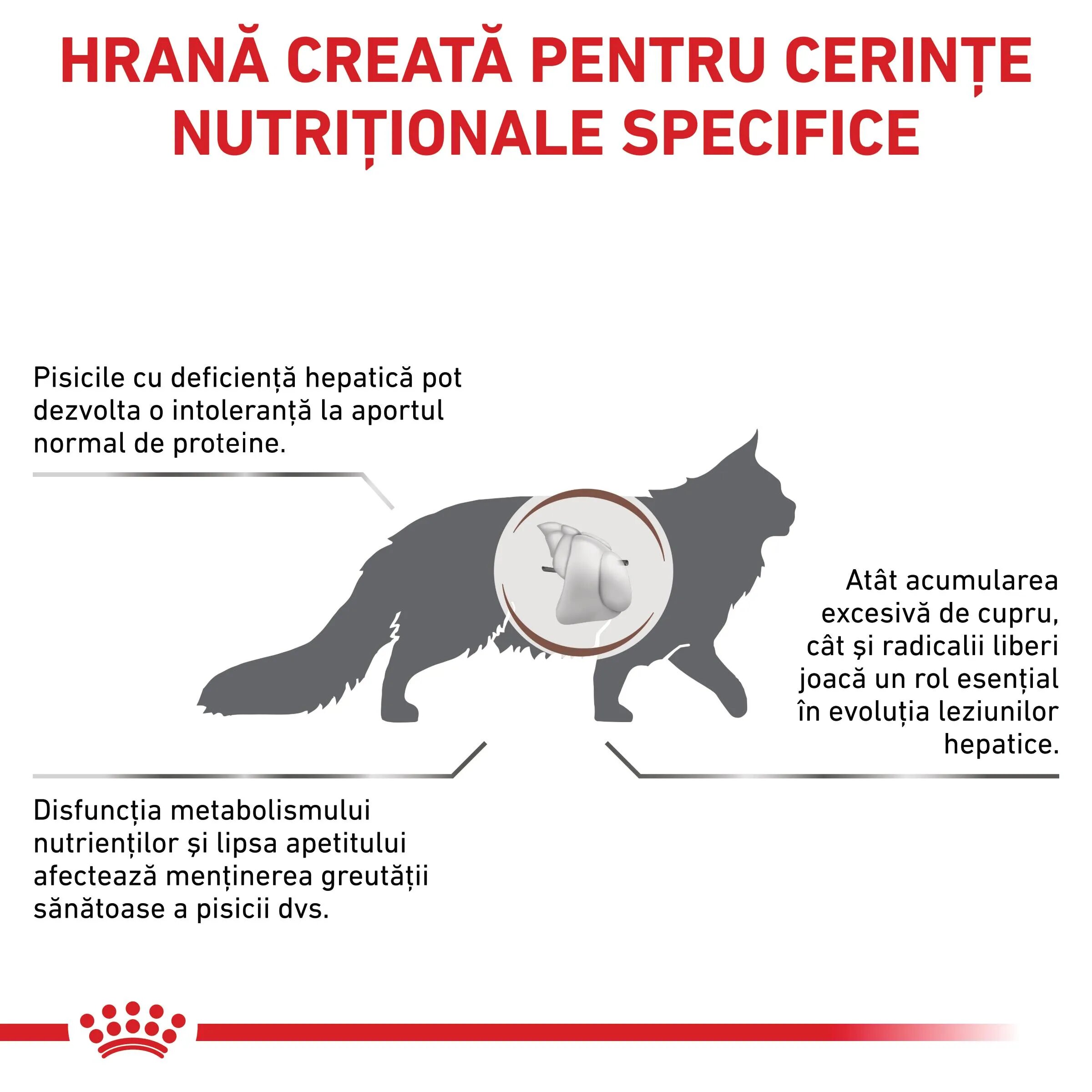 ROYAL CANIN VETERINARY DIET ROYAL CANIN VD Hepatic dietă veterinară hrană uscată pisici suport hepatic 4kg