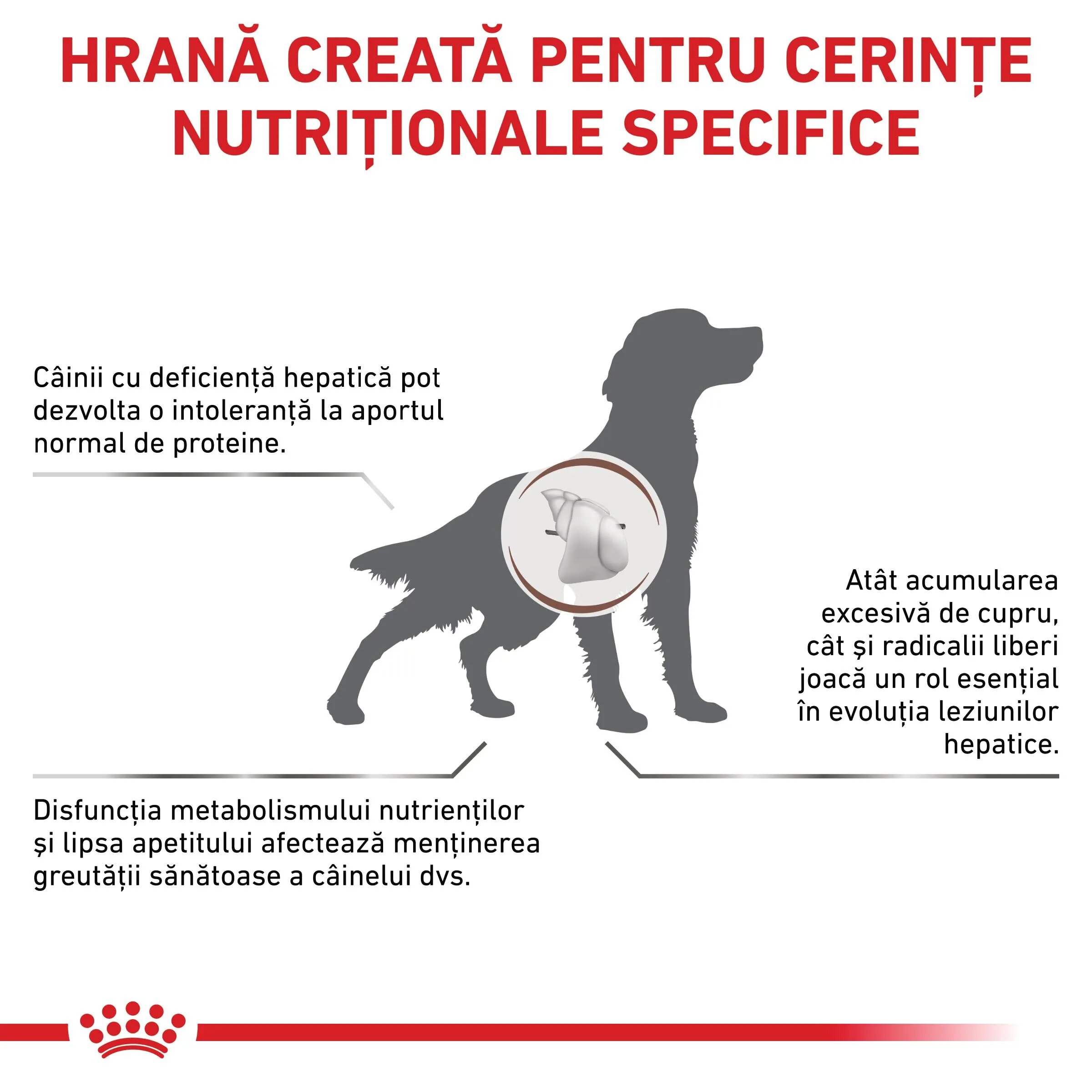 ROYAL CANIN VETERINARY DIET ROYAL CANIN VD Hepatic XS-XL dietă veterinară hrană uscată câini suport hepatic 1.5kg