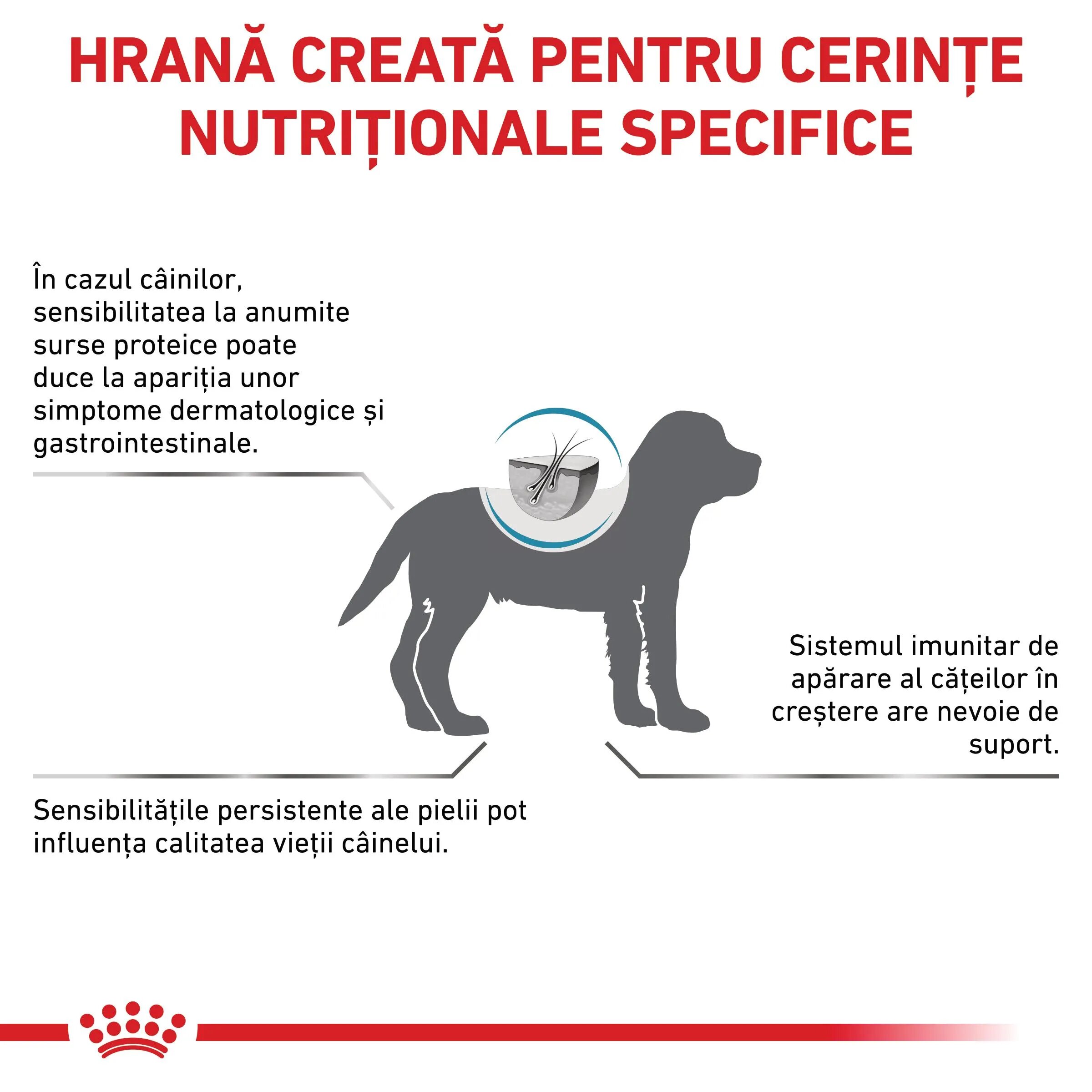 ROYAL CANIN VETERINARY DIET ROYAL CANIN VD Hypoallergenic Puppy XS-XL dietă veterinară hrană uscată câini junior afecțiuni dermatologice 3.5kg