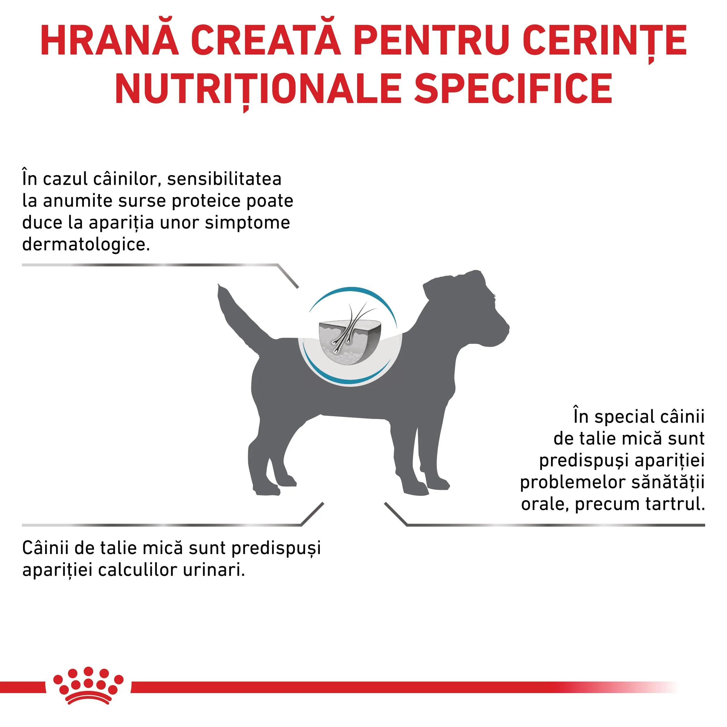 ROYAL CANIN VETERINARY DIET ROYAL CANIN VD Hypoallergenic Small Dog XS-S dietă veterinară hrană uscată câini alergii alimentare 3.5kg