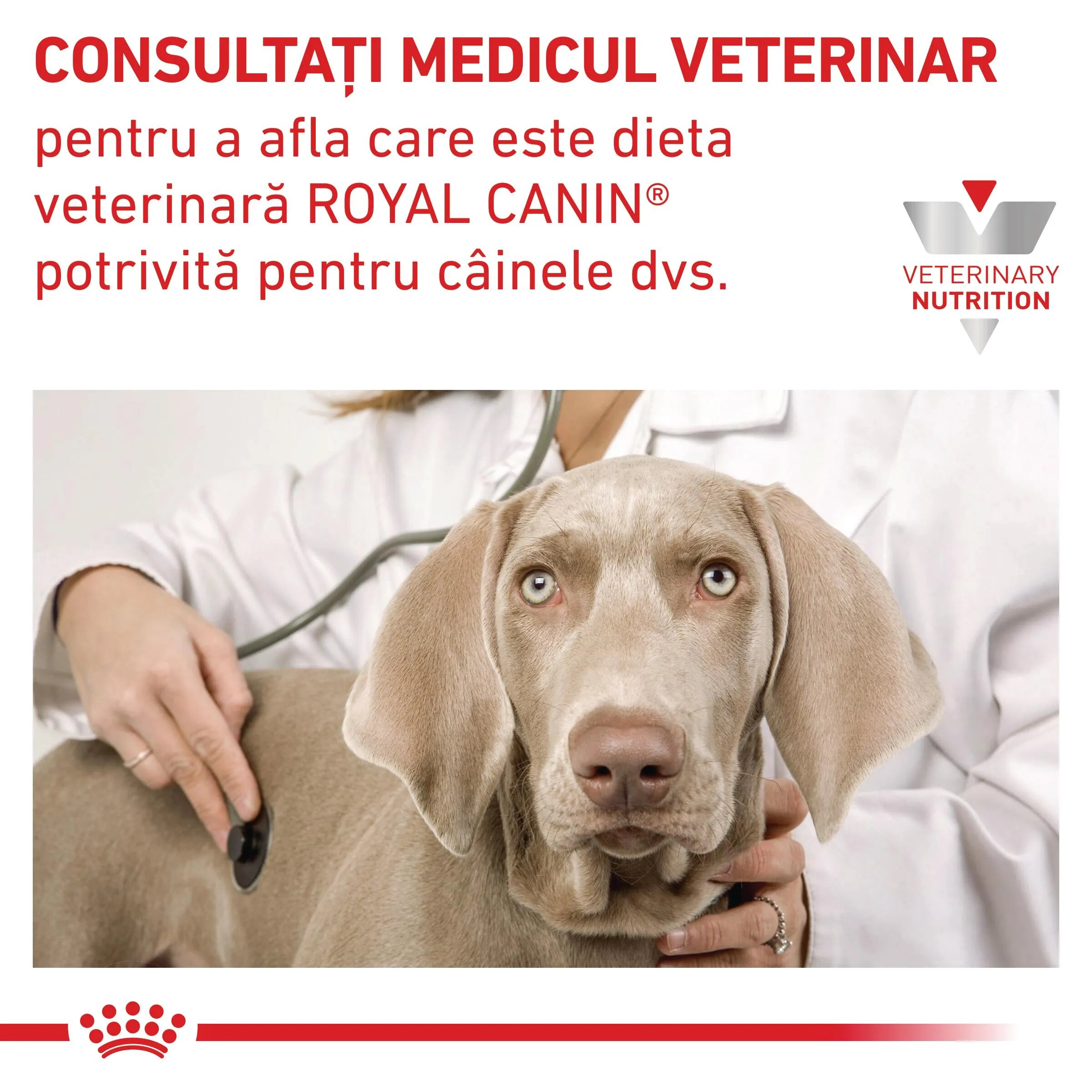 ROYAL CANIN VETERINARY DIET ROYAL CANIN VD Hypoallergenic XS-XL dietă veterinară conservă hrană umedă câini alergii alimentare (pate) 400g