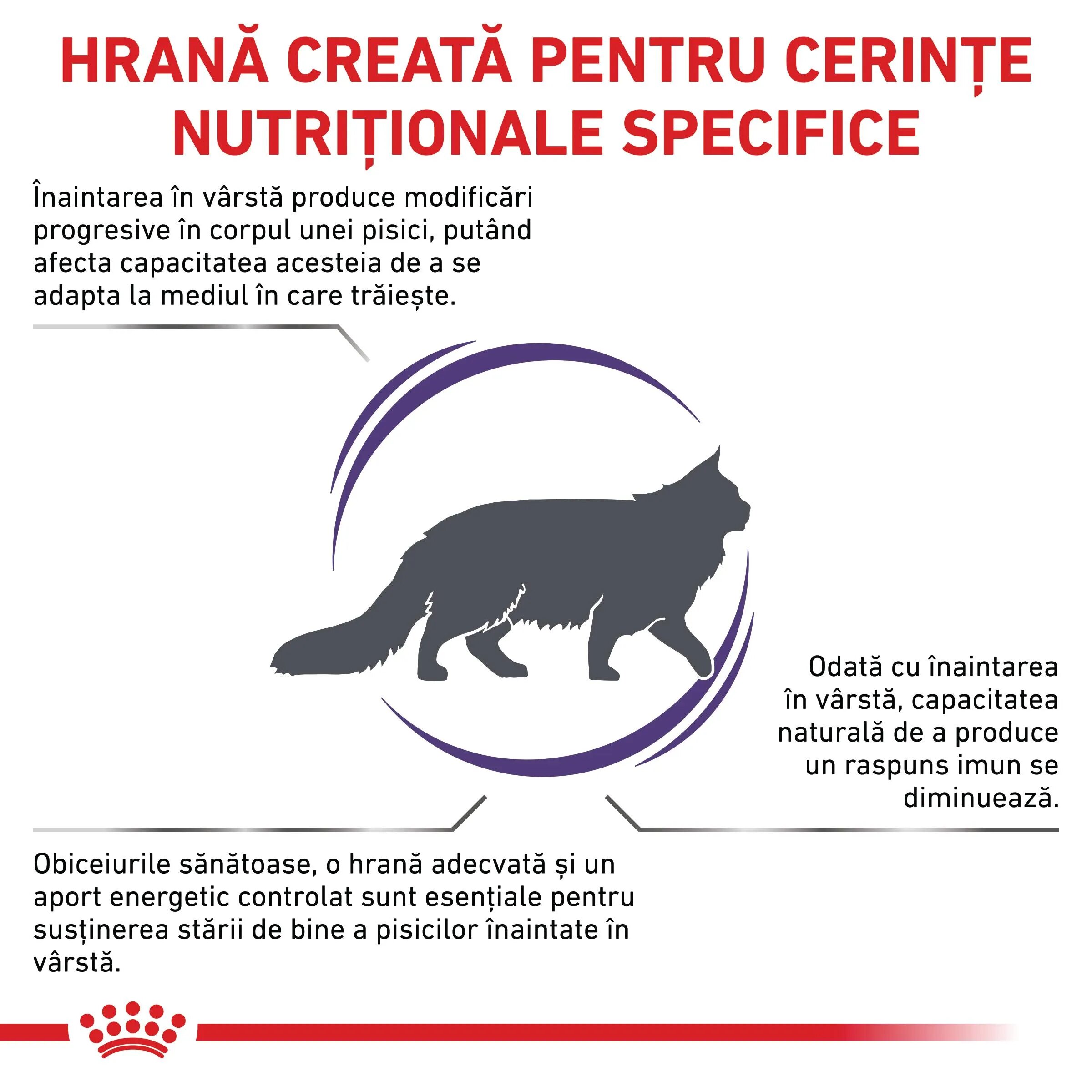 ROYAL CANIN VETERINARY DIET ROYAL CANIN VD Mature Consult dietă veterinară hrană uscată pisici senior 3.5kg