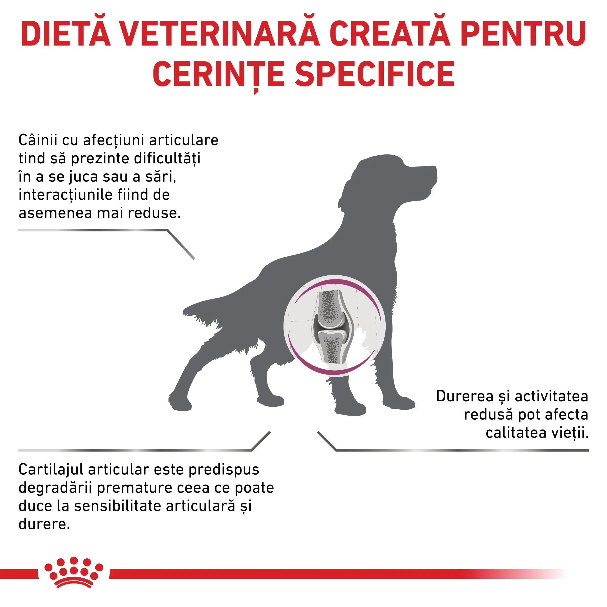 ROYAL CANIN VETERINARY DIET ROYAL CANIN VD Mobility Support XS-XL dietă veterinară hrană uscată câini sistem articular 2kg