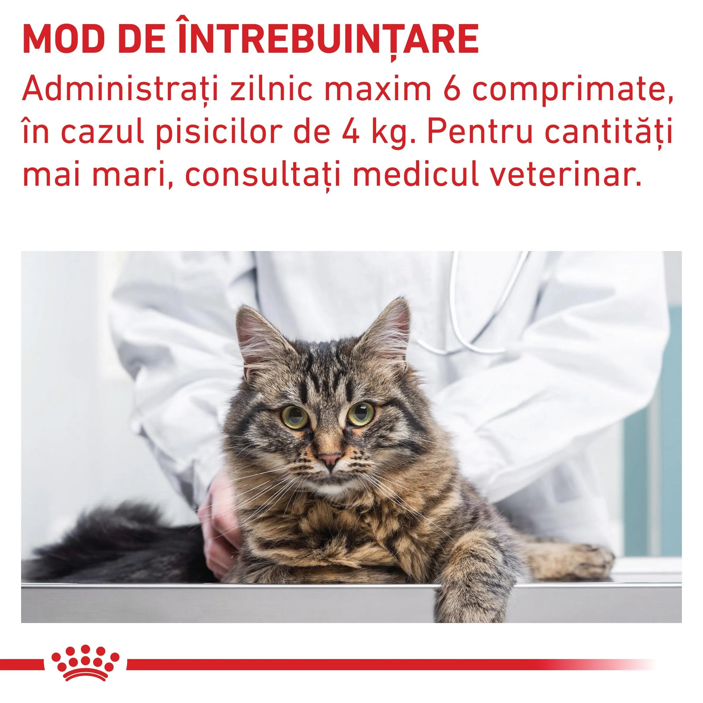 ROYAL CANIN VETERINARY DIET ROYAL CANIN VD Pill Assist Cat dietă veterinară pisici 45g